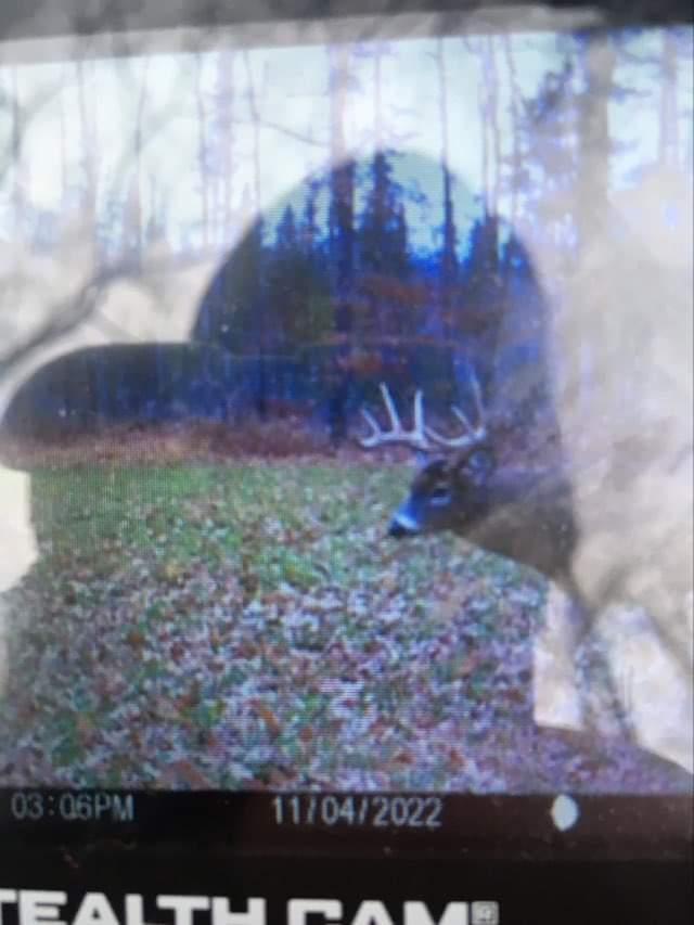 Xxx W Eckel Lane Property Photo 12