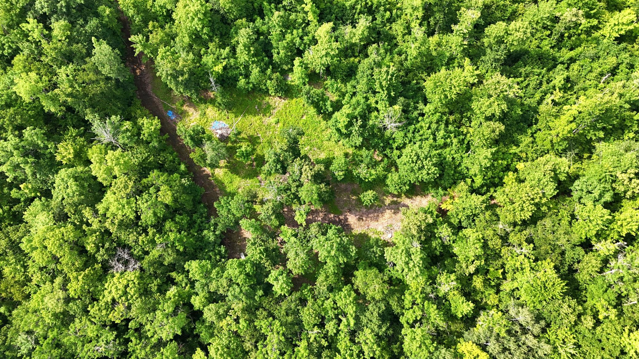 Xxx W Eckel Lane Property Photo 15