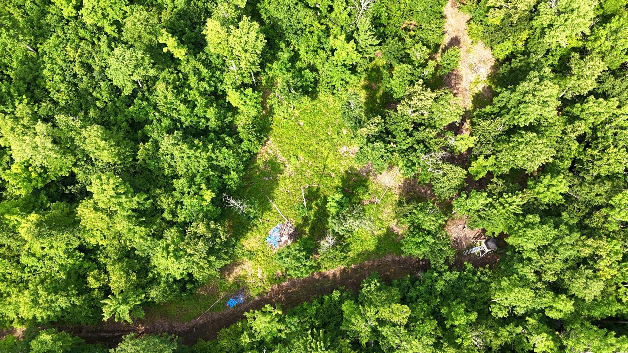 Xxx W Eckel Lane Property Photo 20