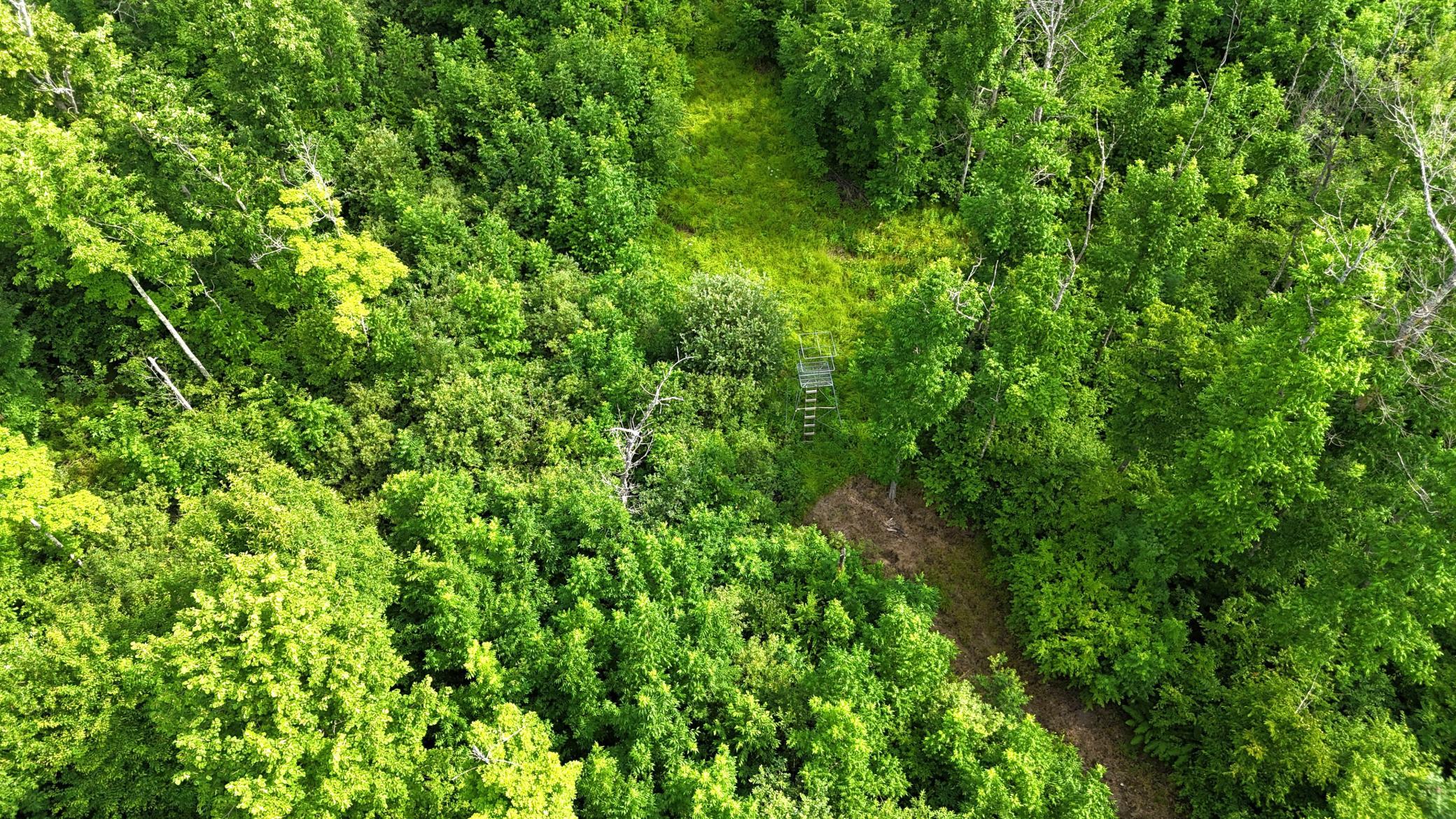 Xxx W Eckel Lane Property Photo 26