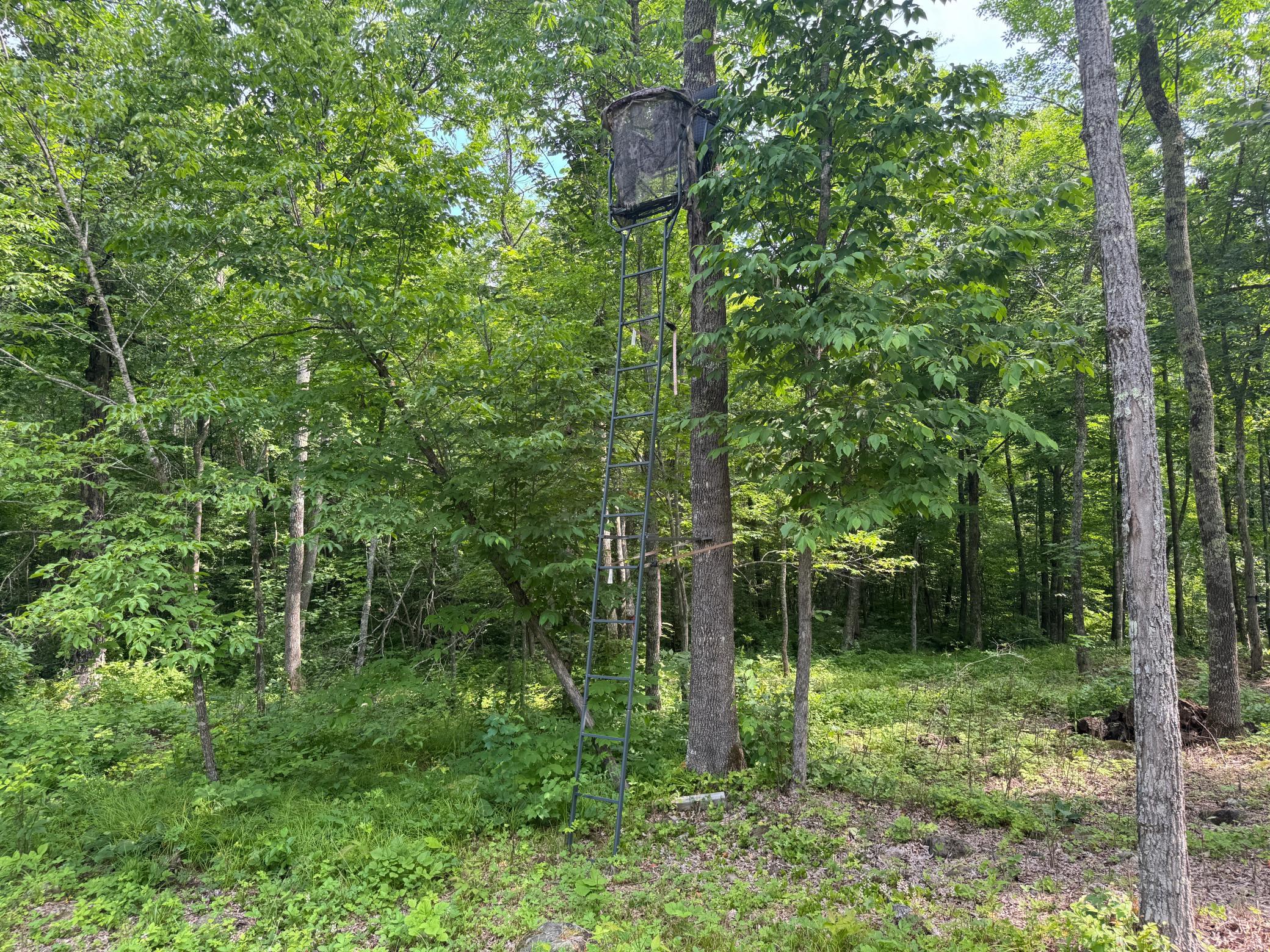 Xxx W Eckel Lane Property Photo 35