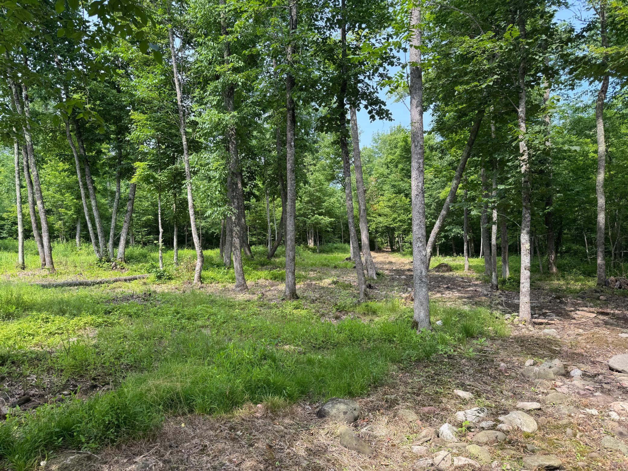 Xxx W Eckel Lane Property Photo 37