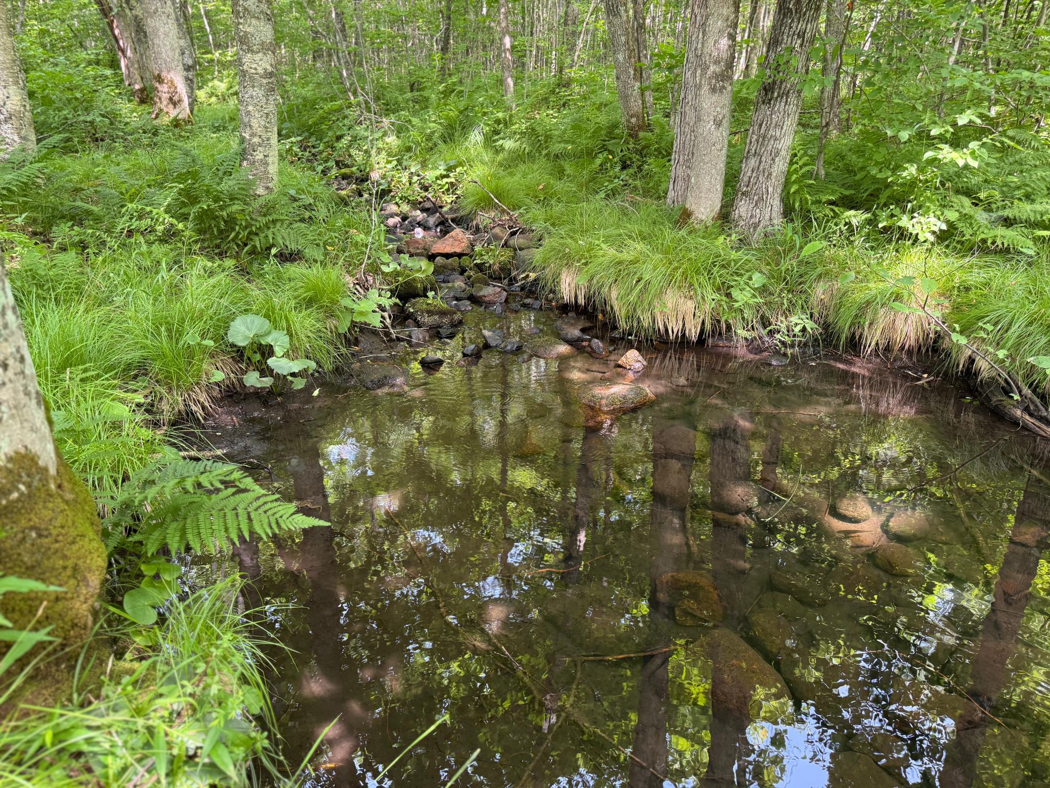 Xxx W Eckel Lane Property Photo 39
