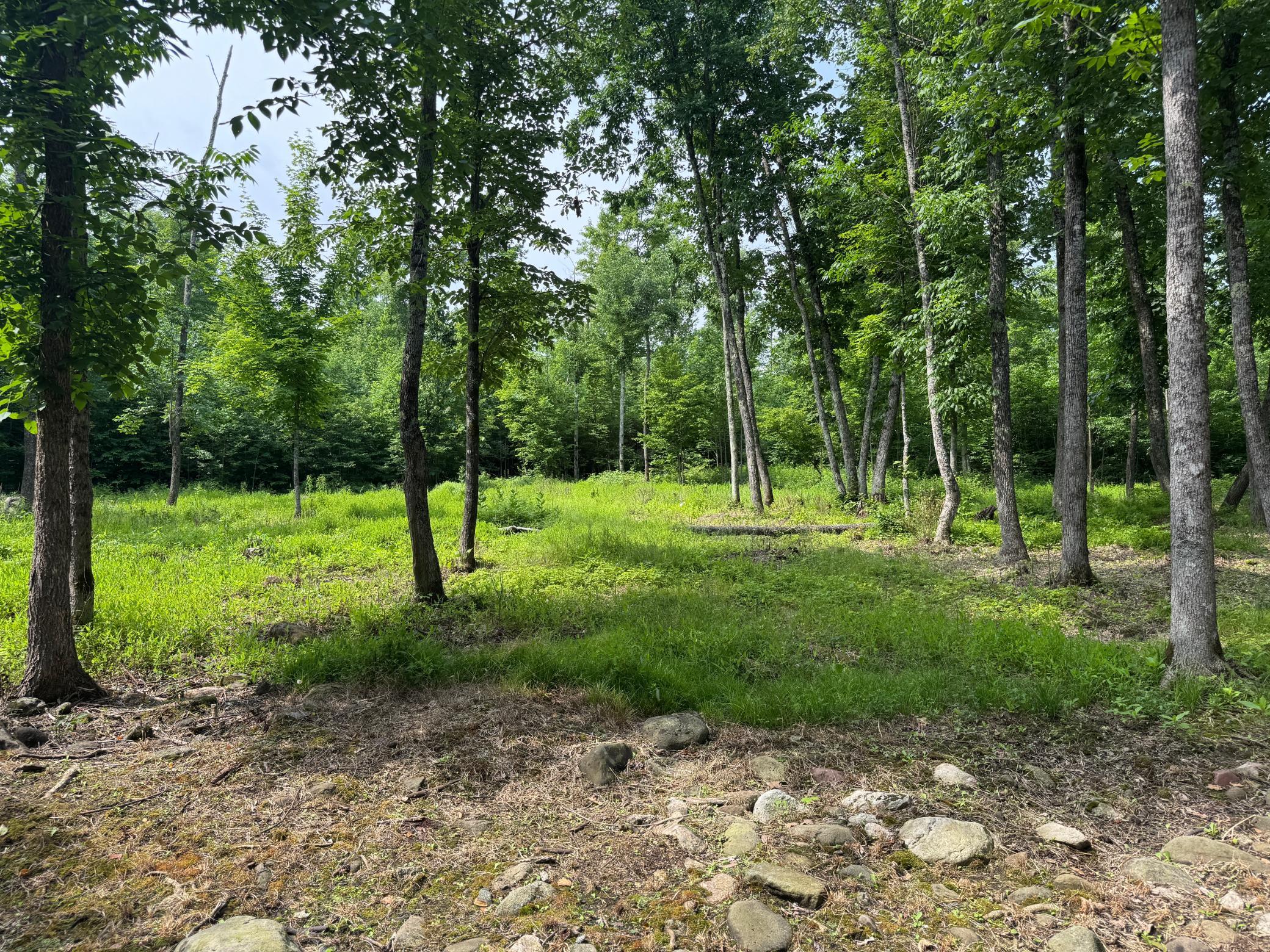 Xxx W Eckel Lane Property Photo 41