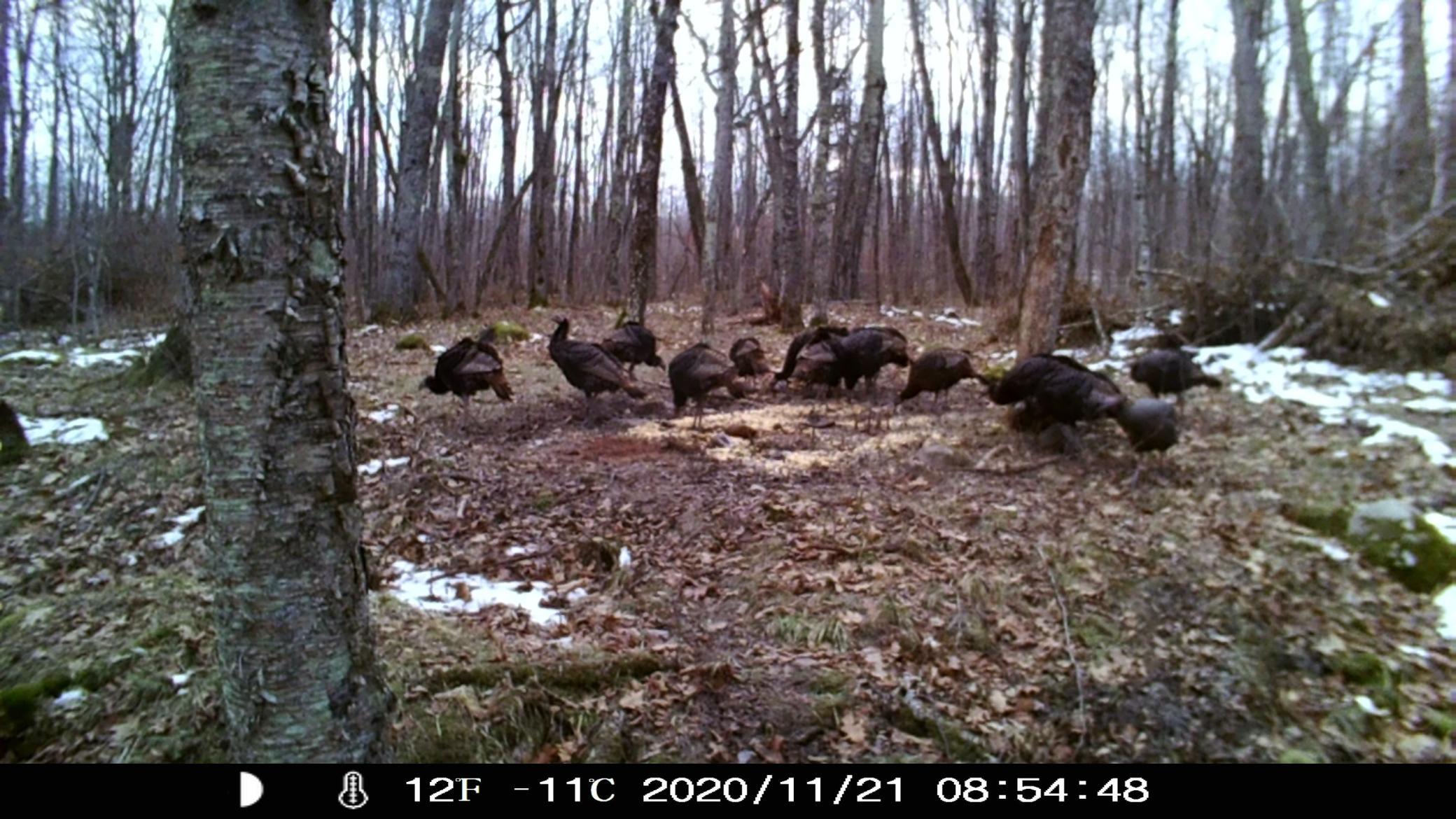 Xxx W Eckel Lane Property Photo 49