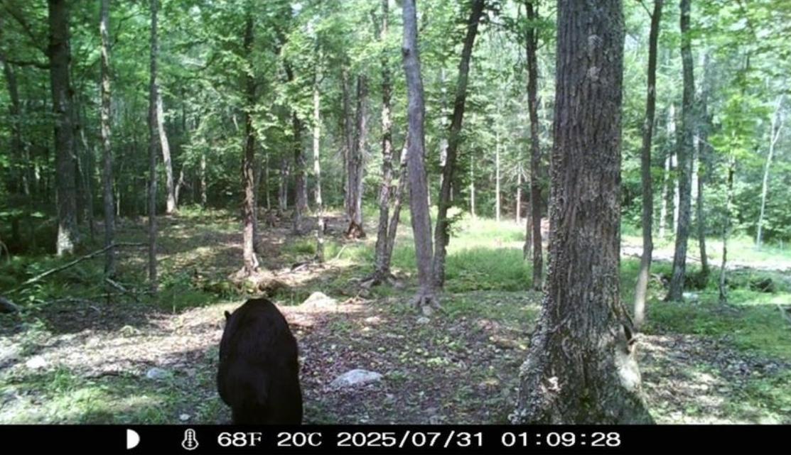 Xxx W Eckel Lane Property Photo 62