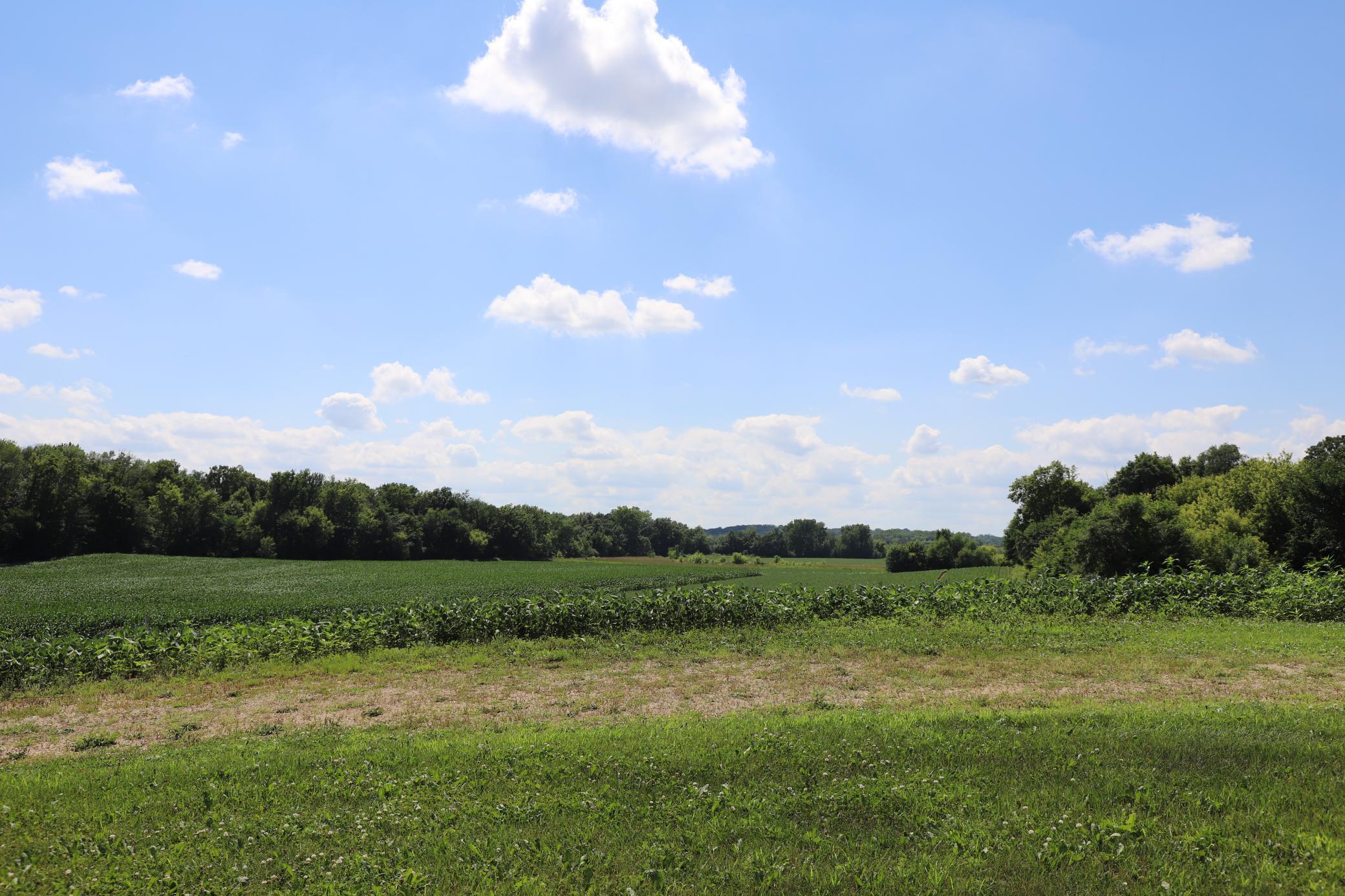16412 Ames Way Property Photo 17