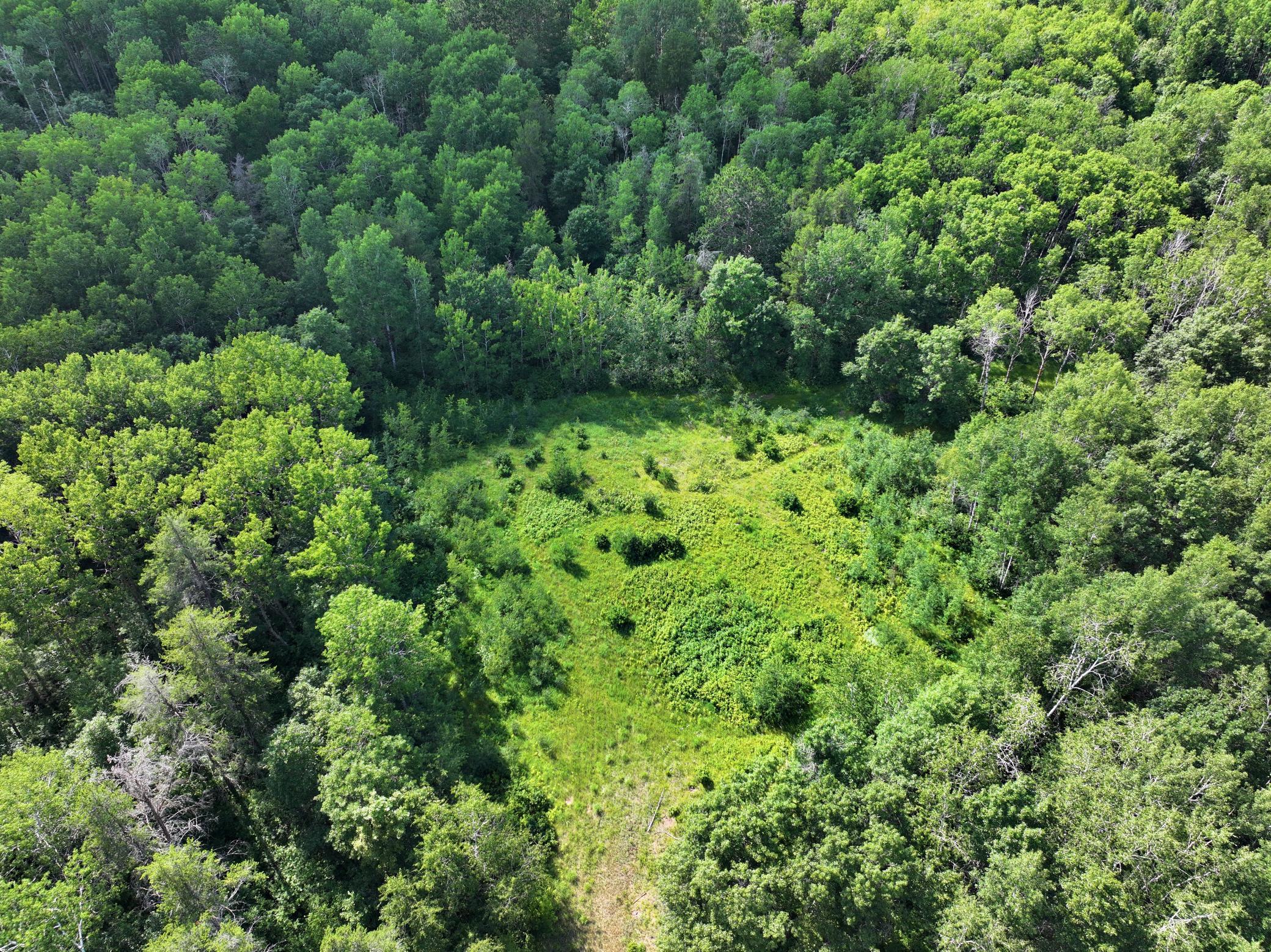 Tbd Us 71 - 16.7 Ac Property Photo 3