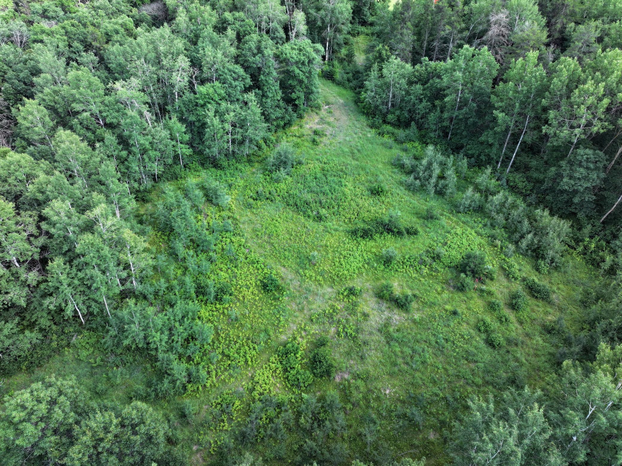 Tbd Us 71 - 16.7 Ac Property Photo 7