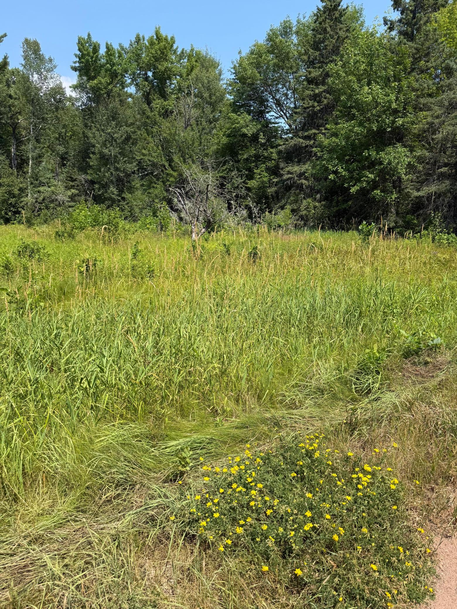 750 Middle Road Property Photo 11