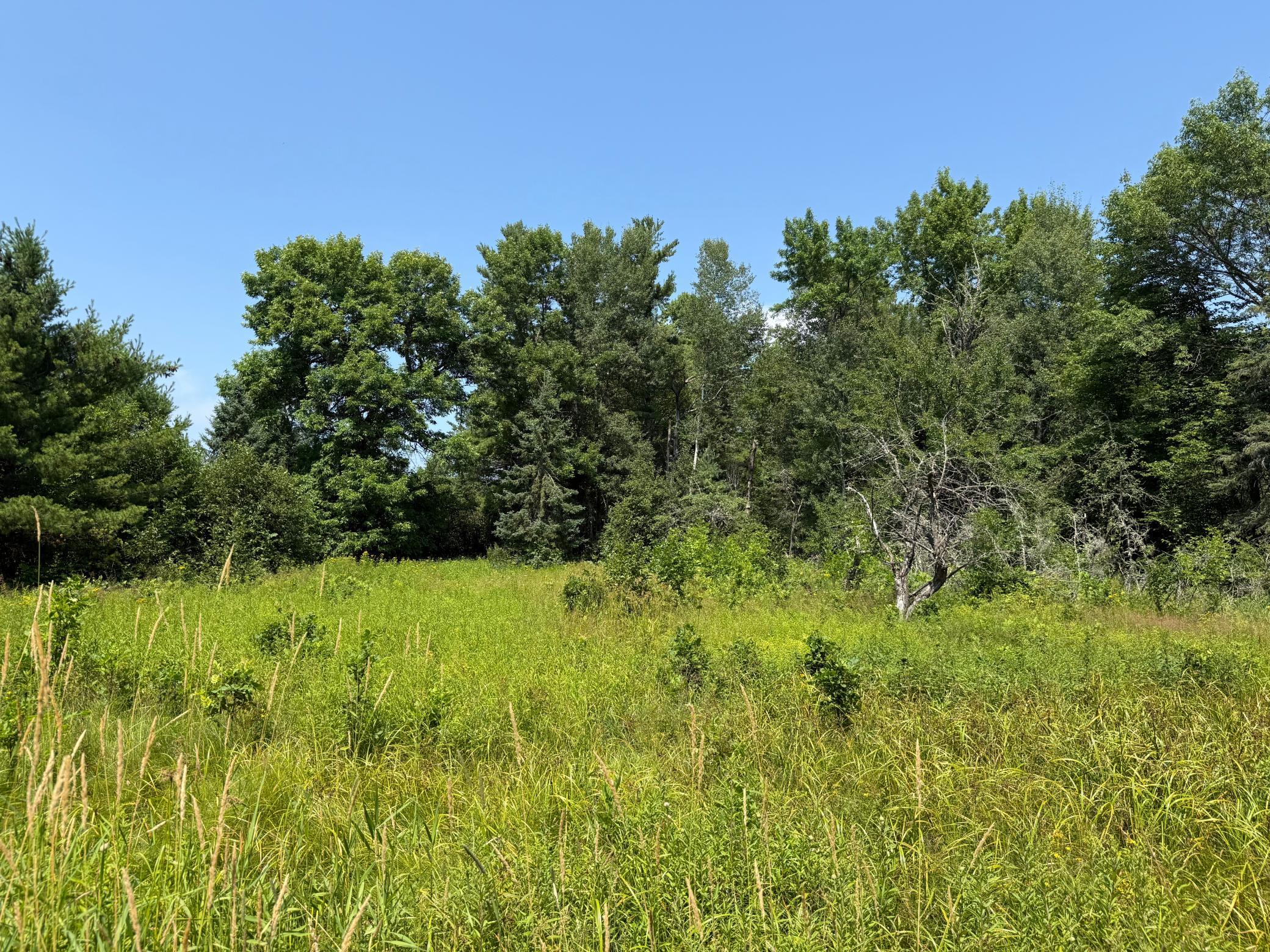 750 Middle Road Property Photo 12
