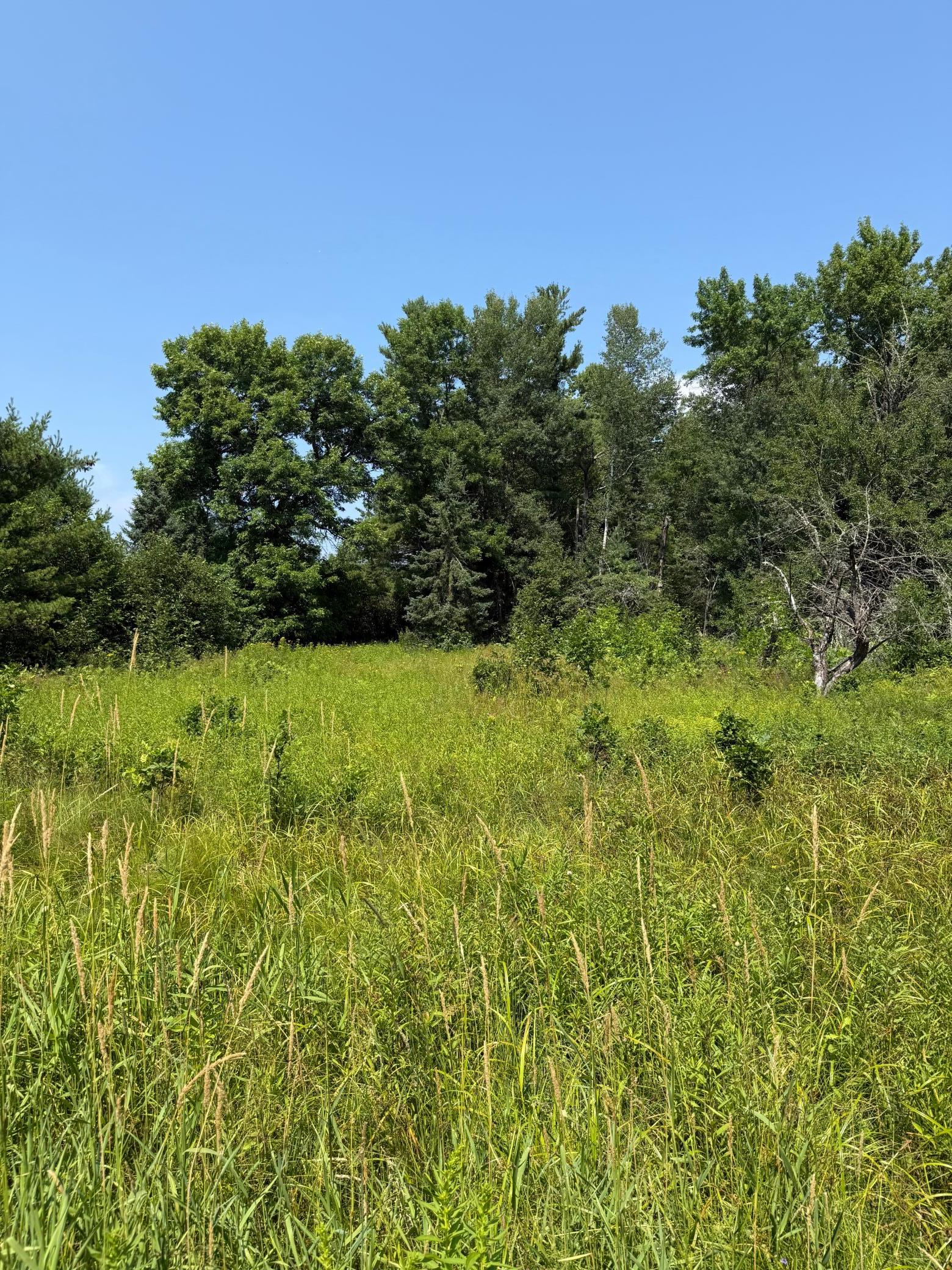 750 Middle Road Property Photo 13
