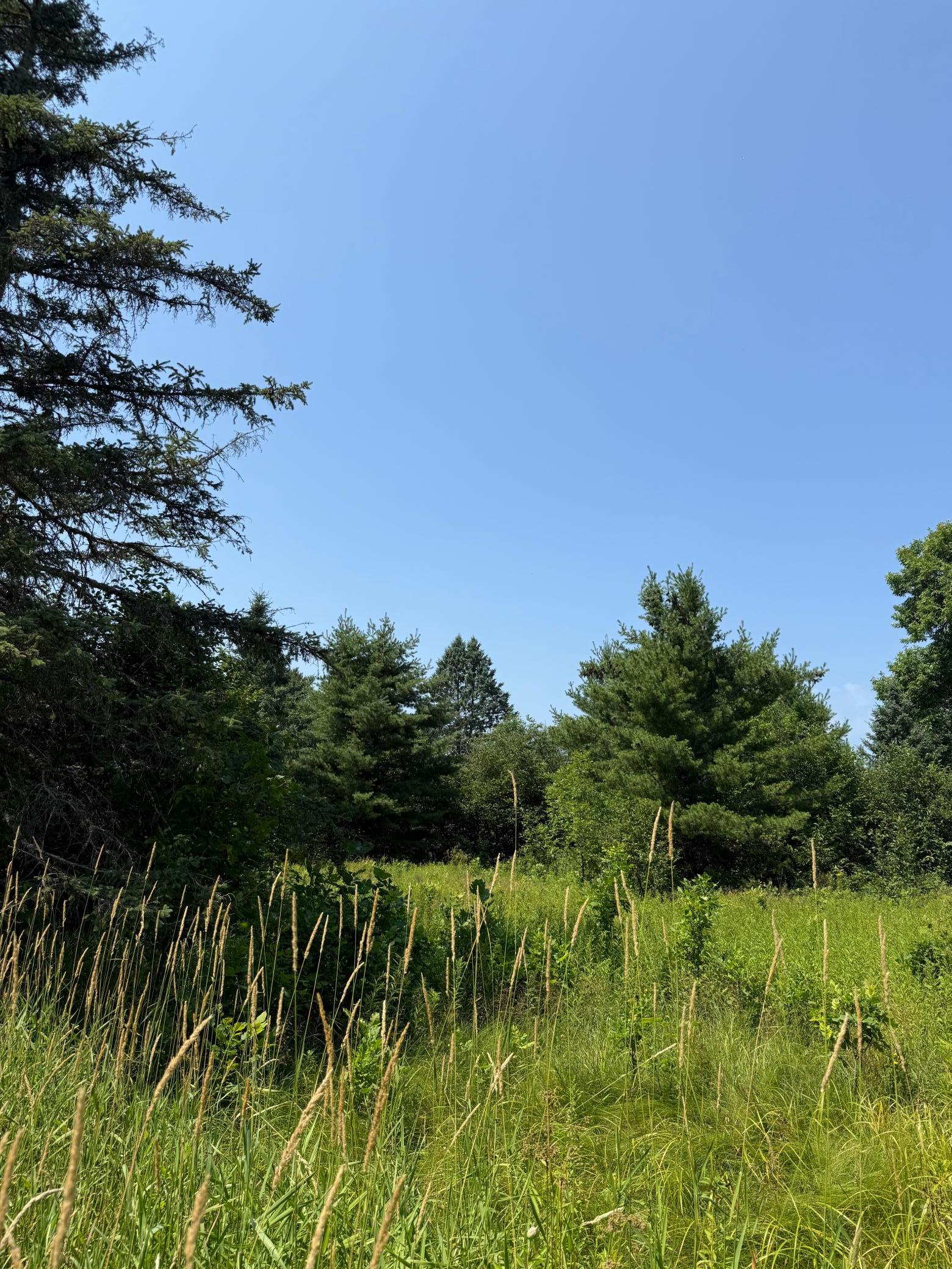750 Middle Road Property Photo 15