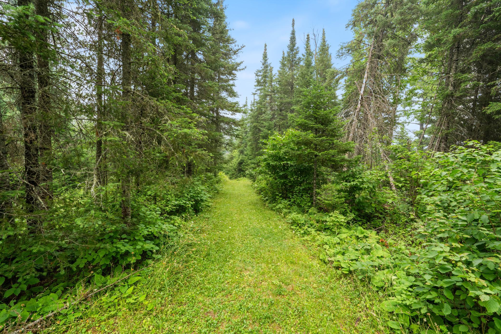 6701 Koski Road Property Photo 28