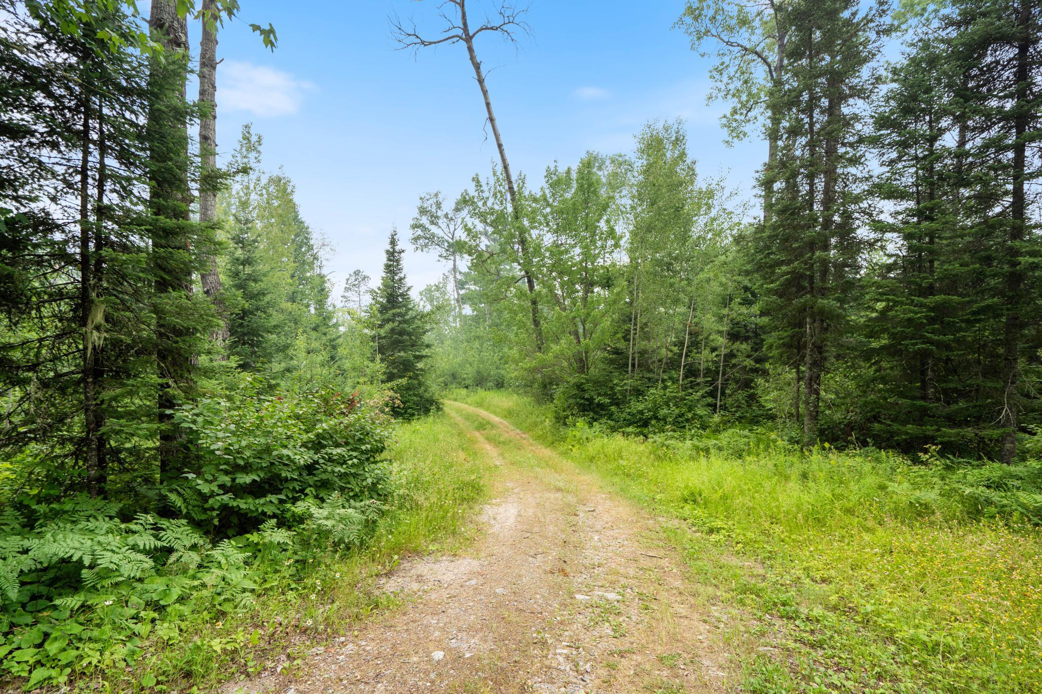 6701 Koski Road Property Photo 30