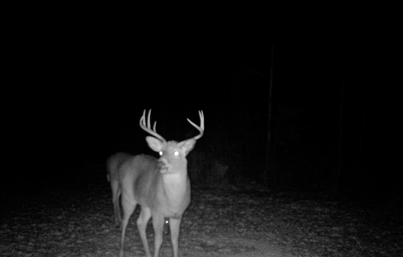 6701 Koski Road Property Photo 32