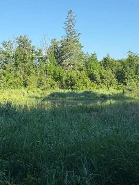 Tbd Old Grade Property Photo 2