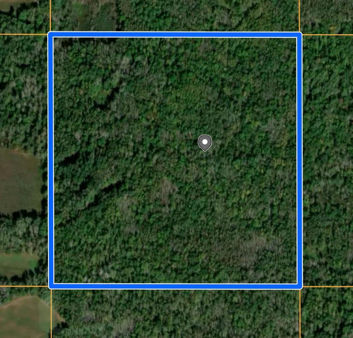 Tbd Old Grade Property Photo 7