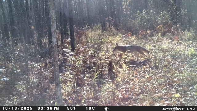 Tbd Old Grade Property Photo 12