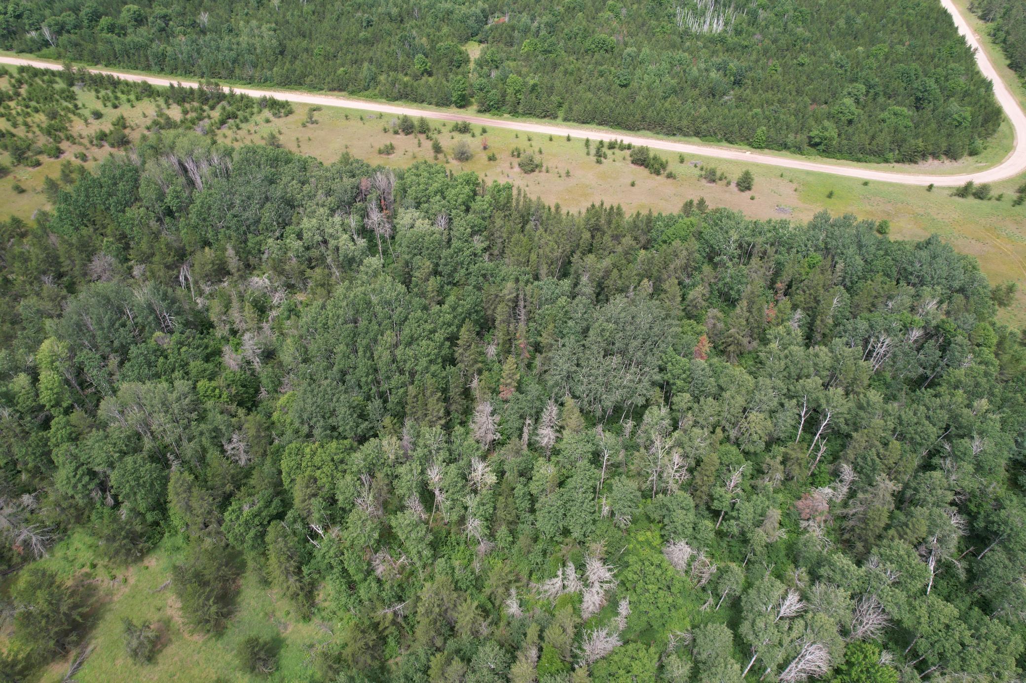 Tbd 350th Street Property Photo 8