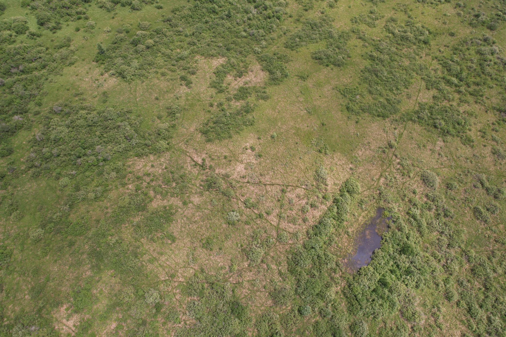 Tbd 350th Street Property Photo 12