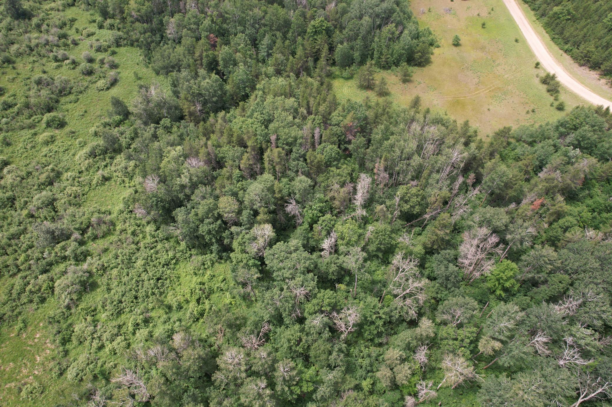 Tbd 350th Street Property Photo 30