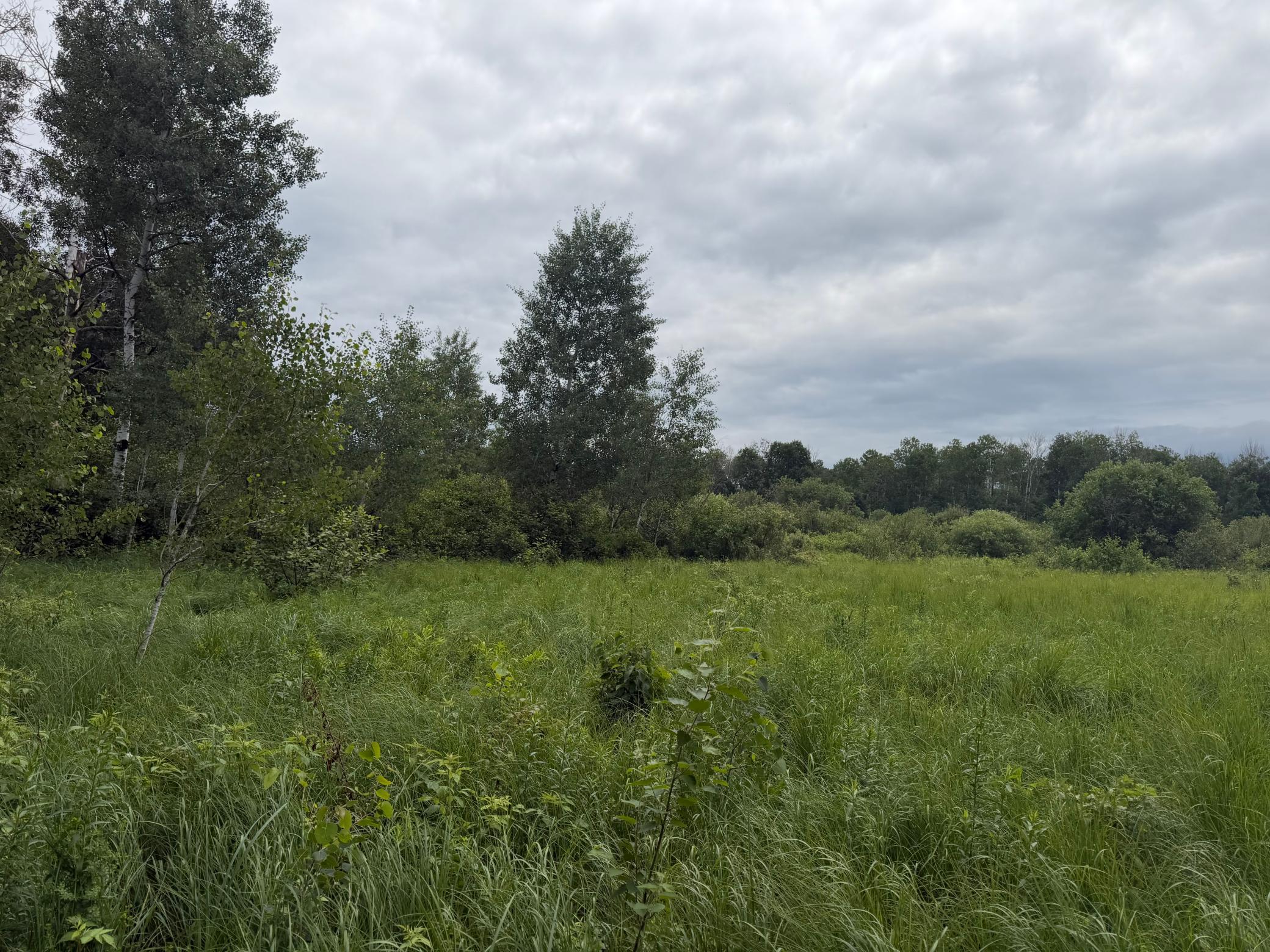 Tbd 350th Street Property Photo 35