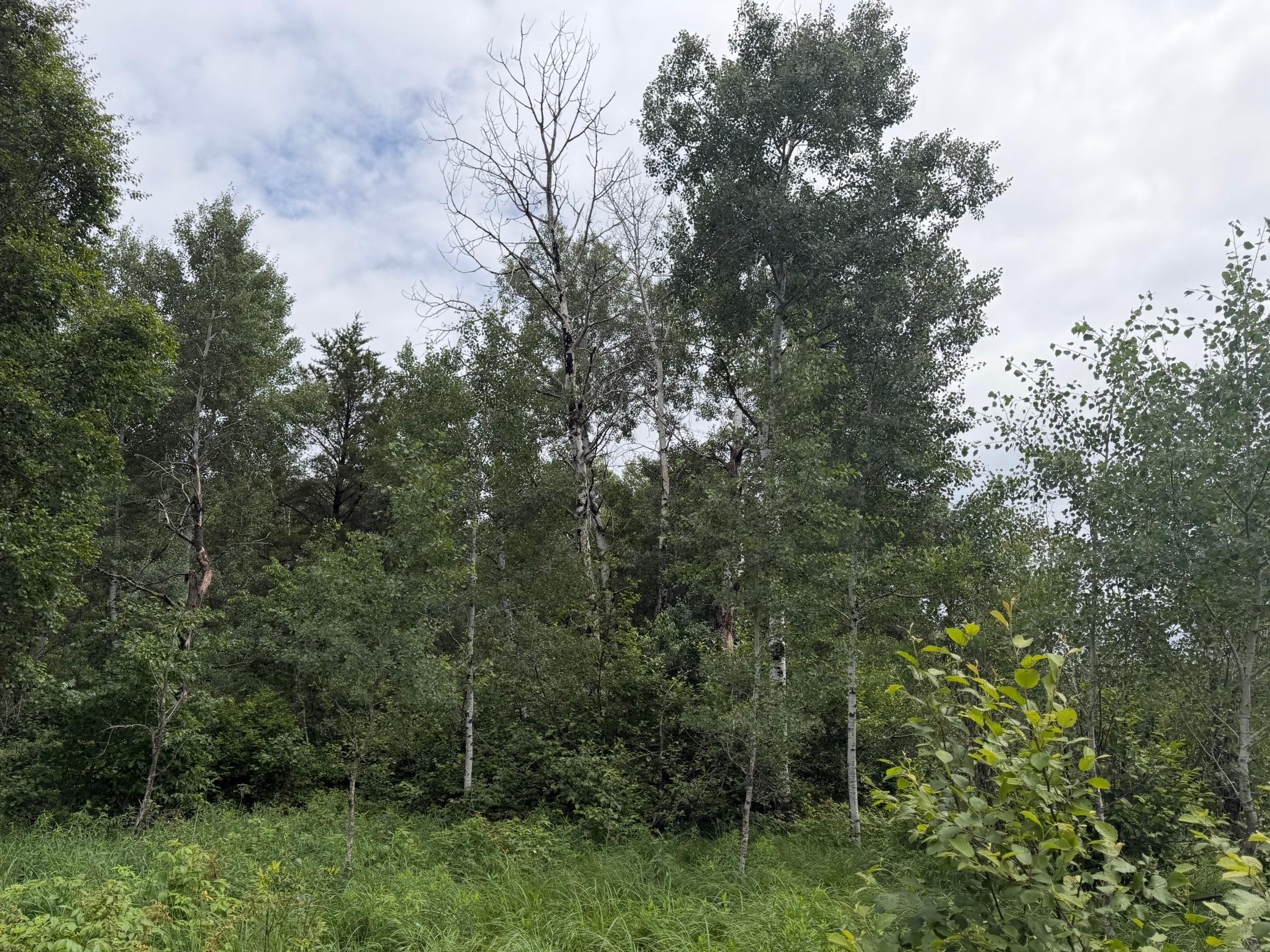 Tbd 350th Street Property Photo 36