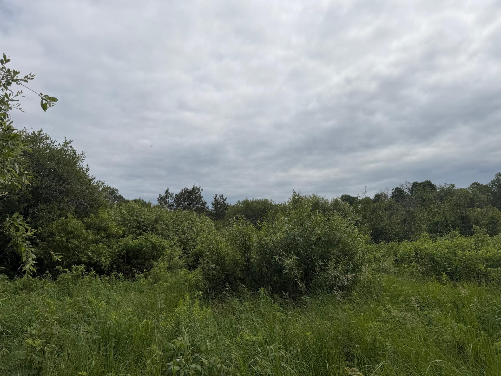 Tbd 350th Street Property Photo 37