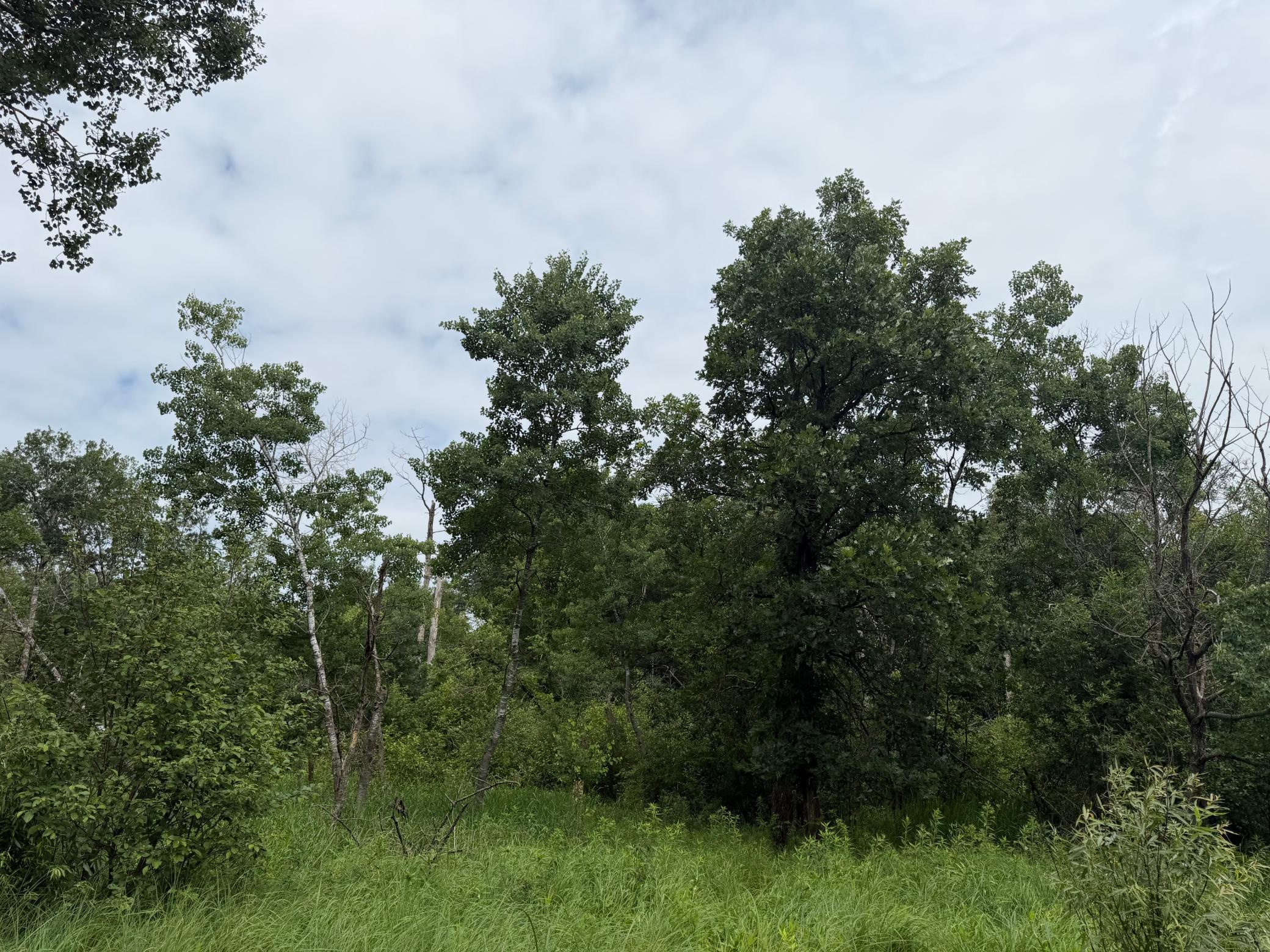 Tbd 350th Street Property Photo 41