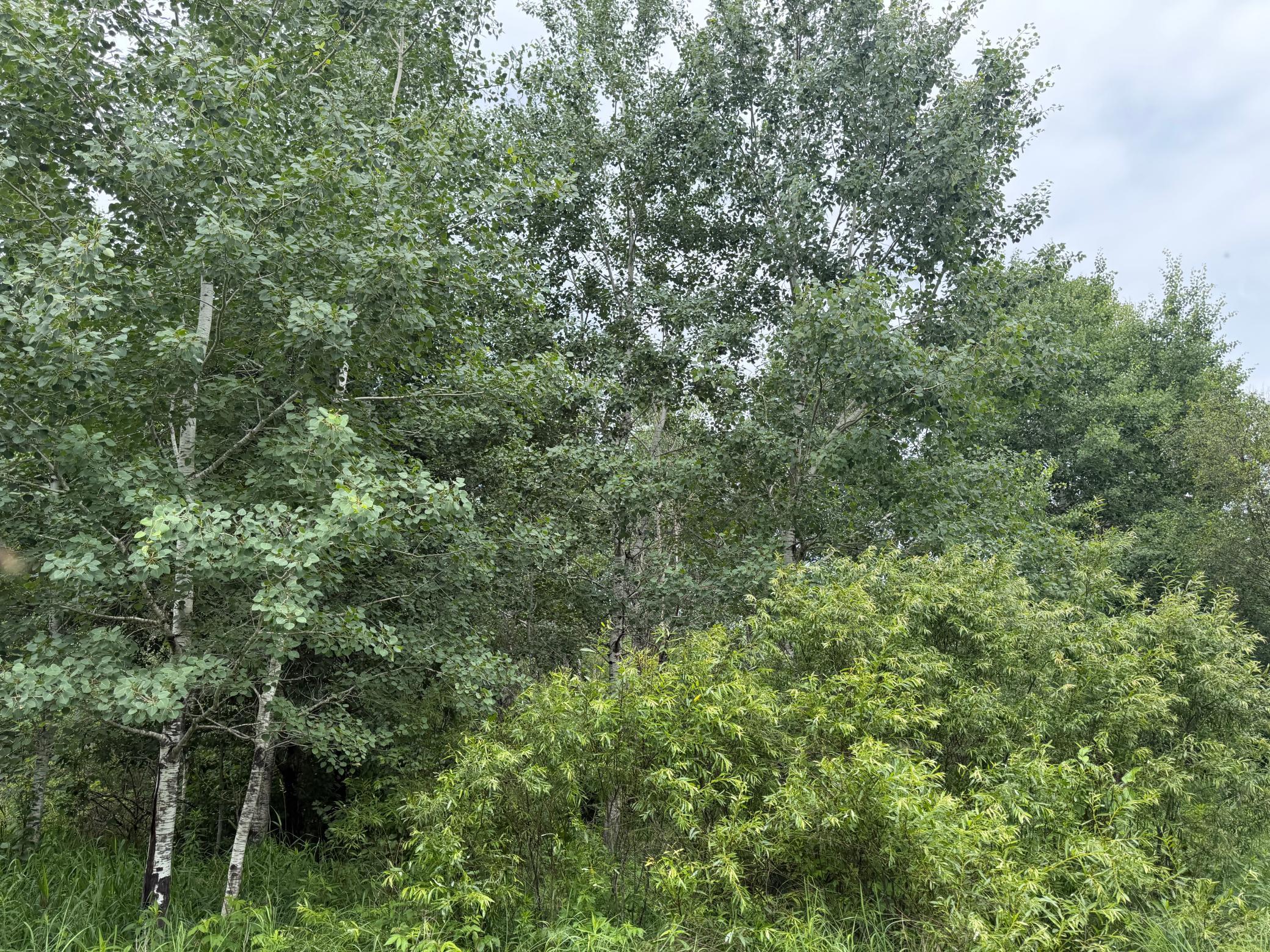 Tbd 350th Street Property Photo 44