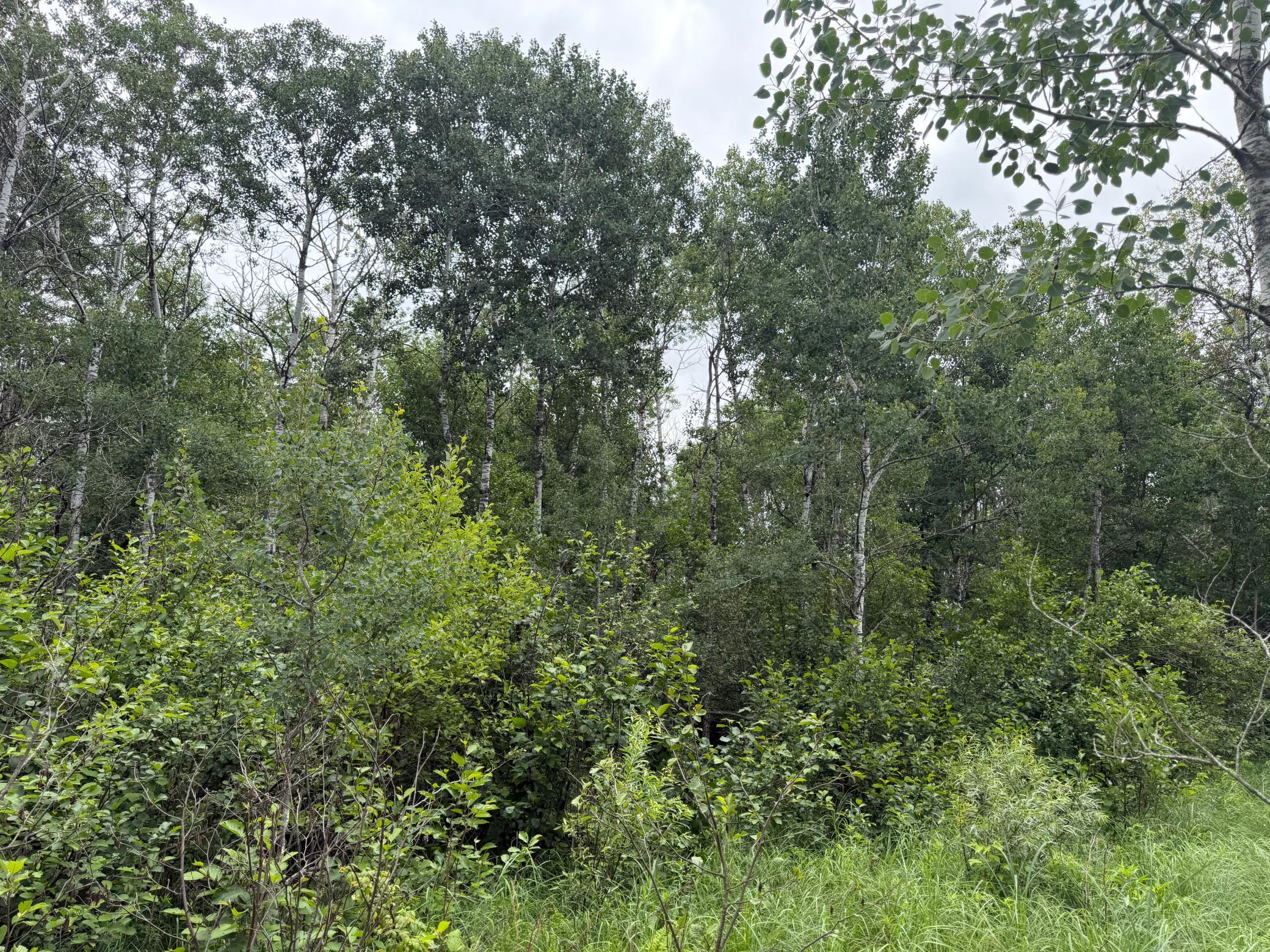 Tbd 350th Street Property Photo 45