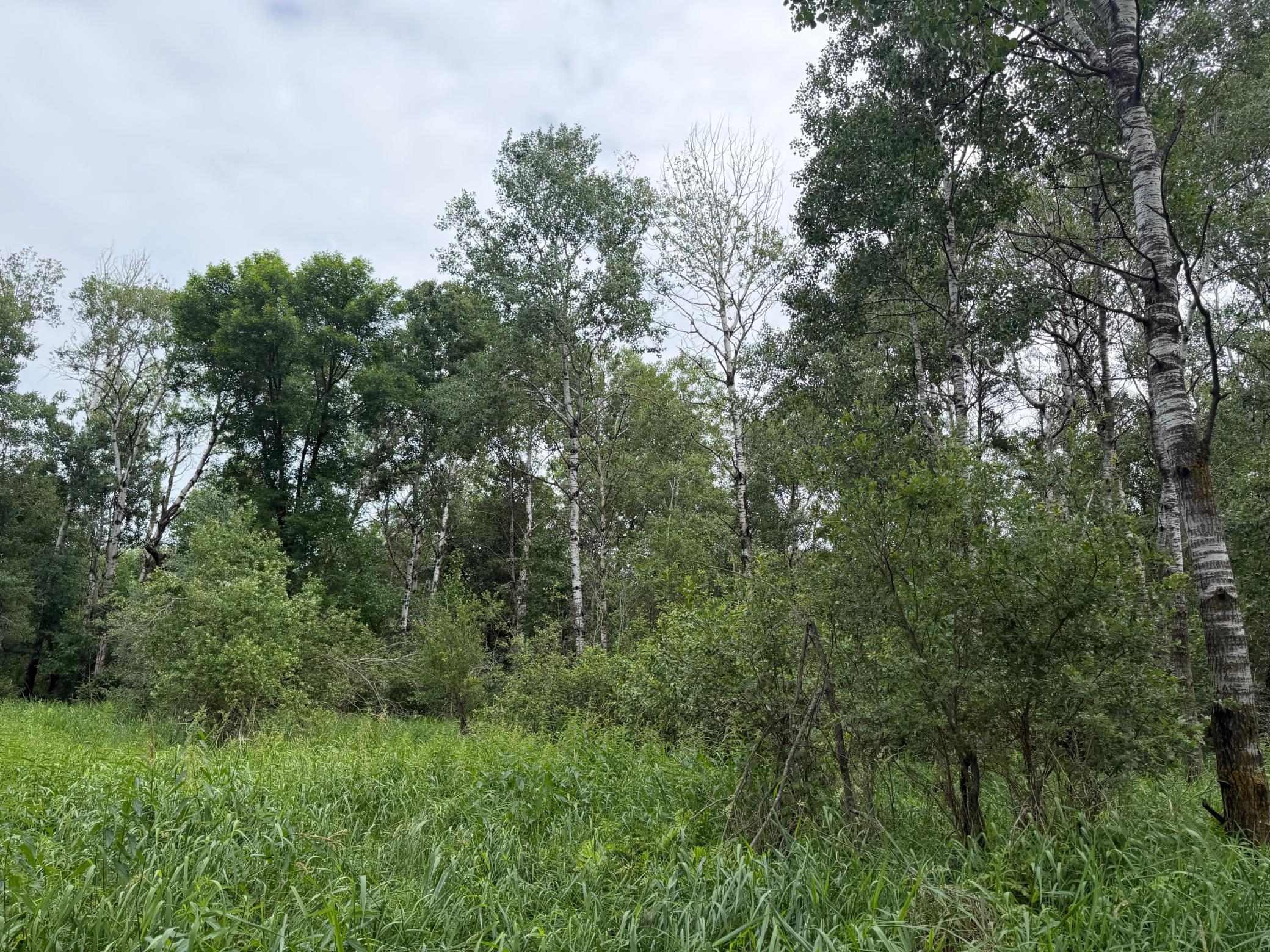 Tbd 350th Street Property Photo 46