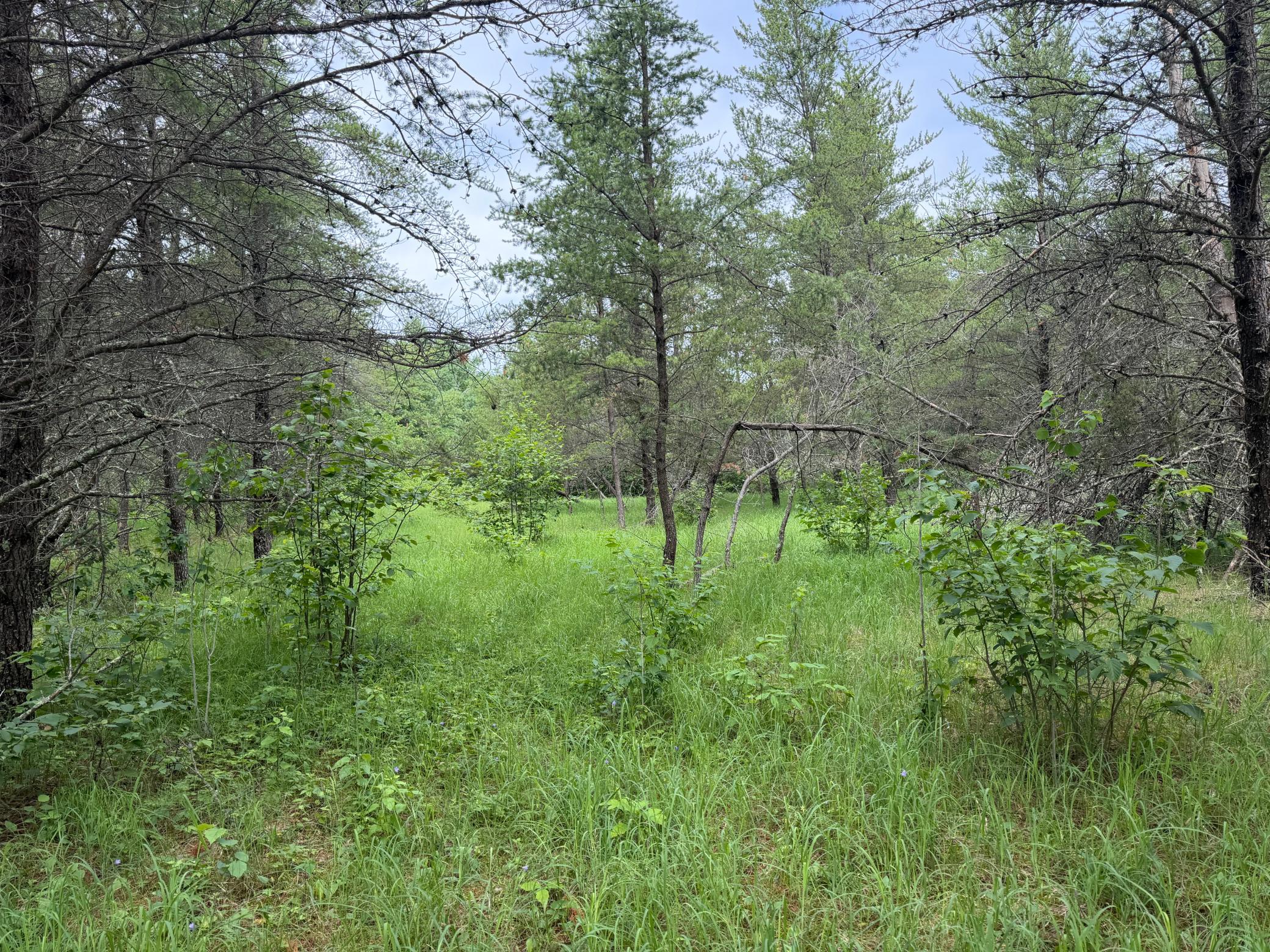 Tbd 350th Street Property Photo 49