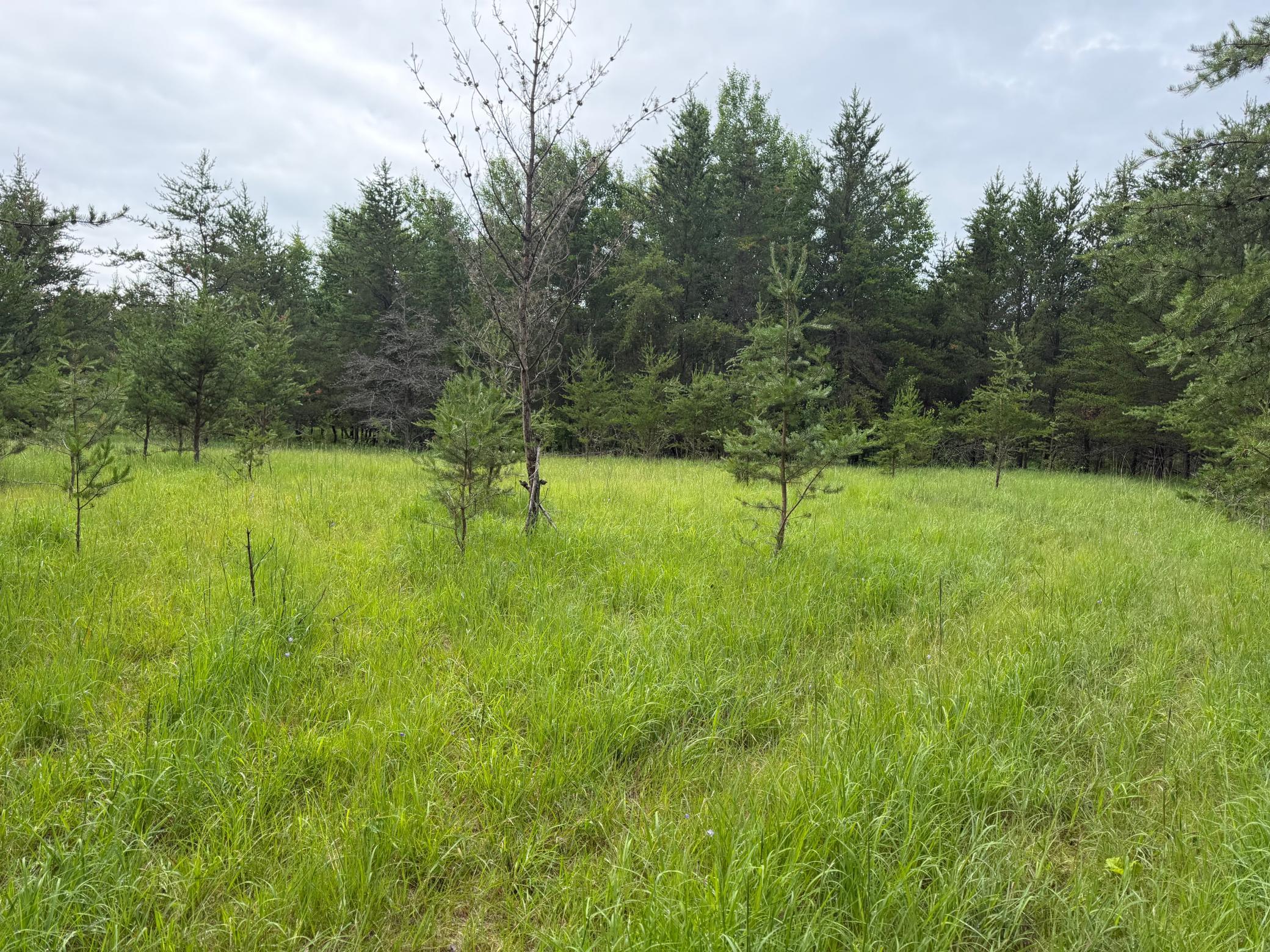 Tbd 350th Street Property Photo 50