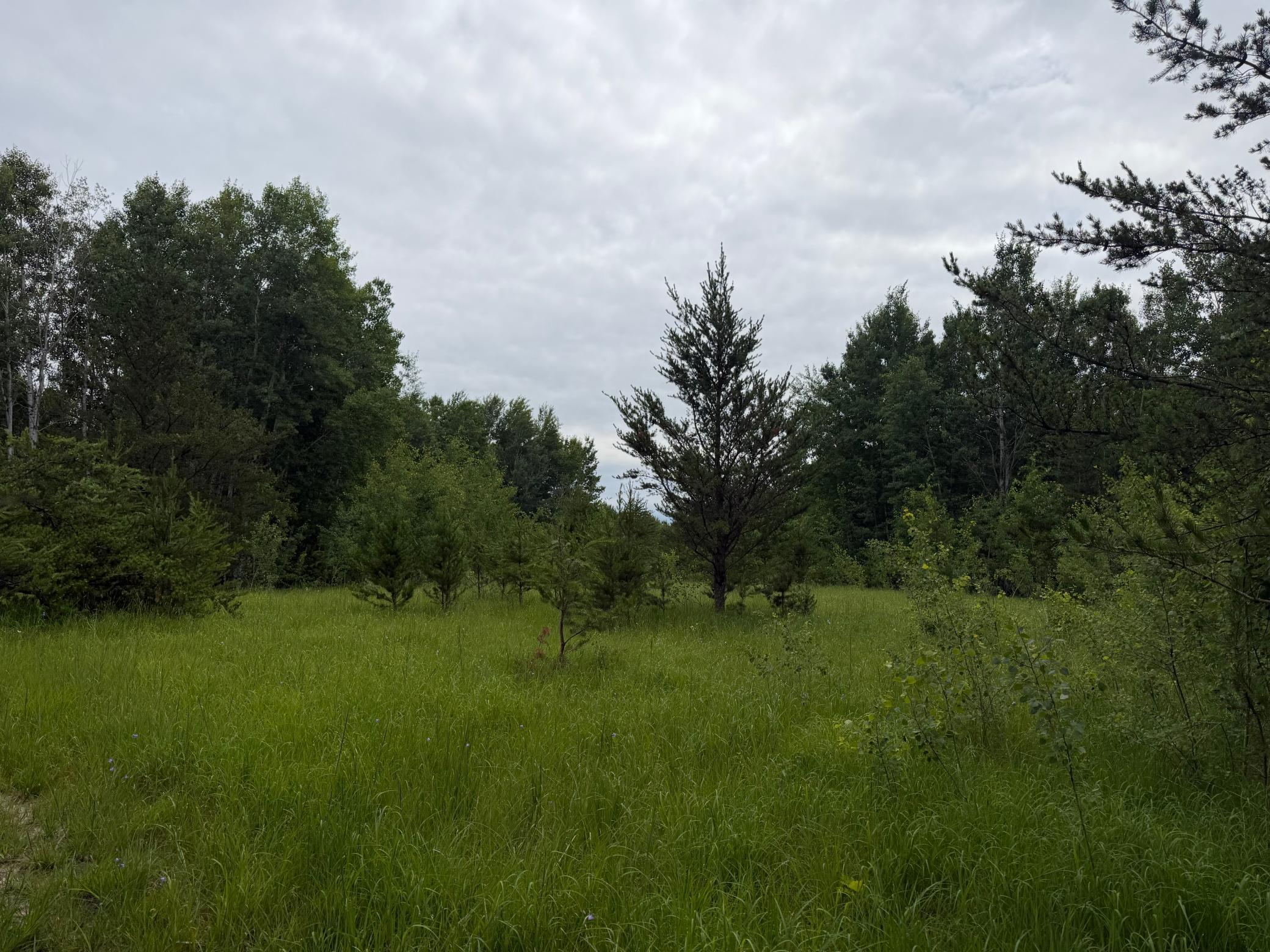 Tbd 350th Street Property Photo 51