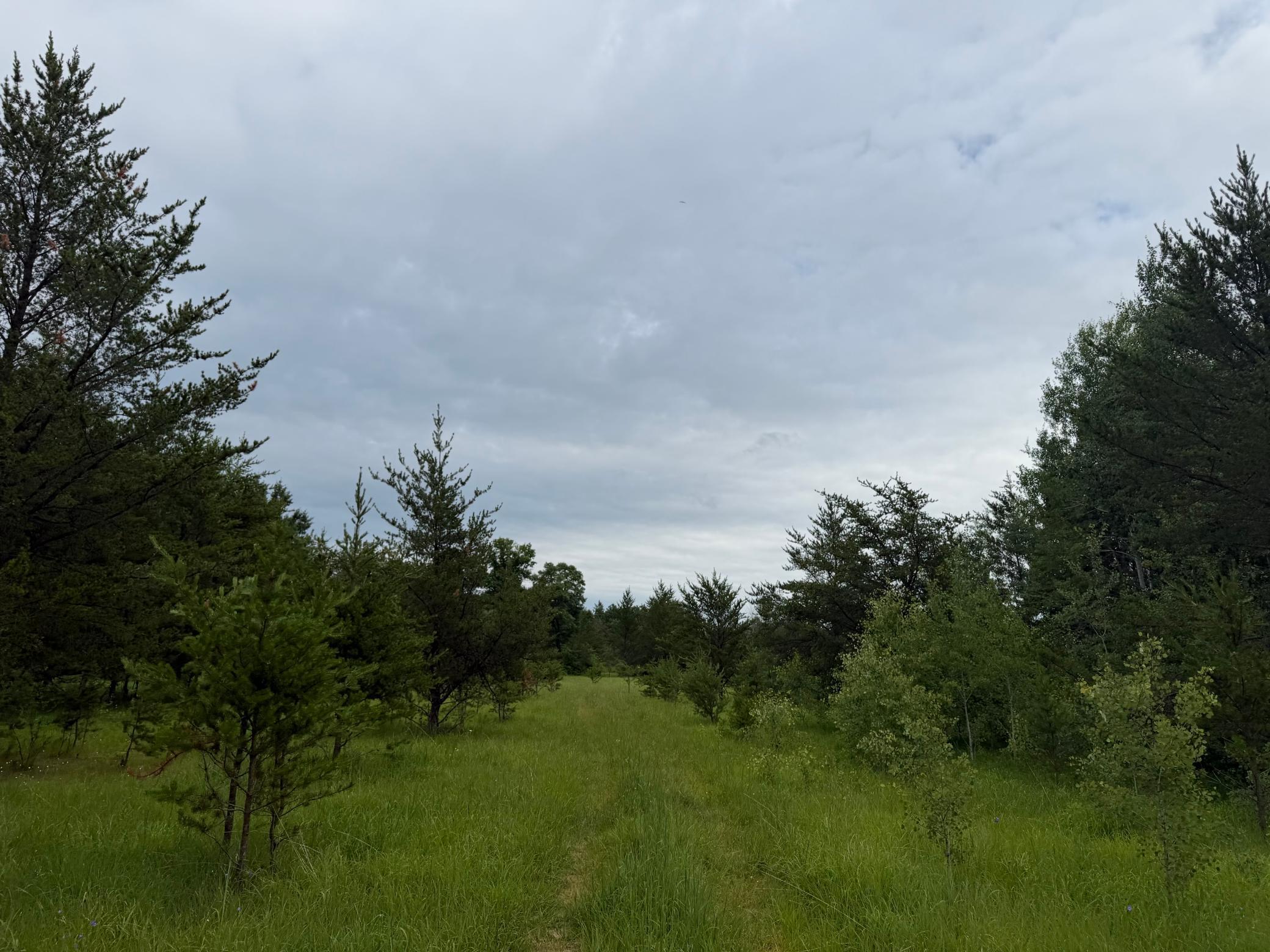 Tbd 350th Street Property Photo 52