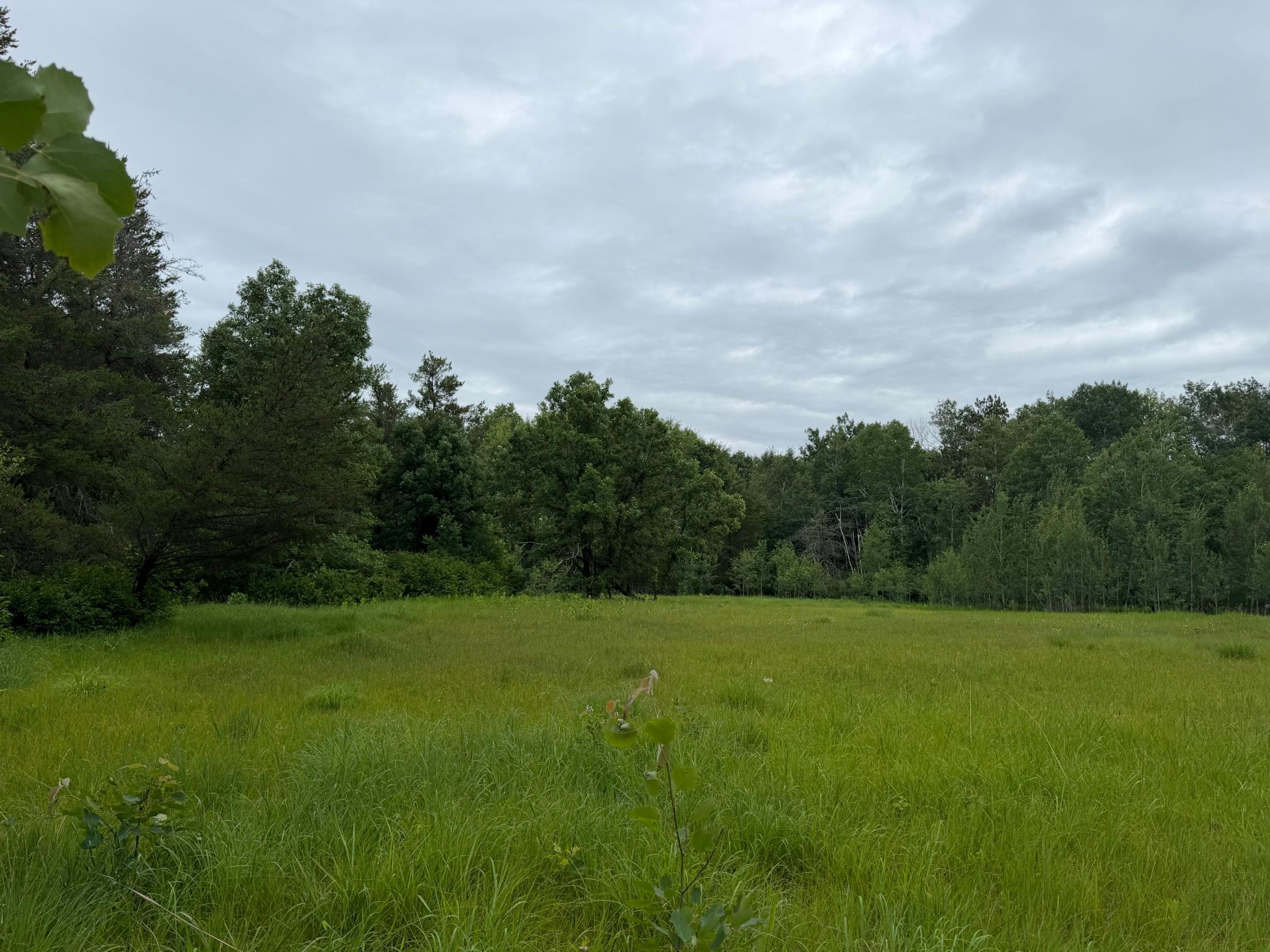 Tbd 350th Street Property Photo 63
