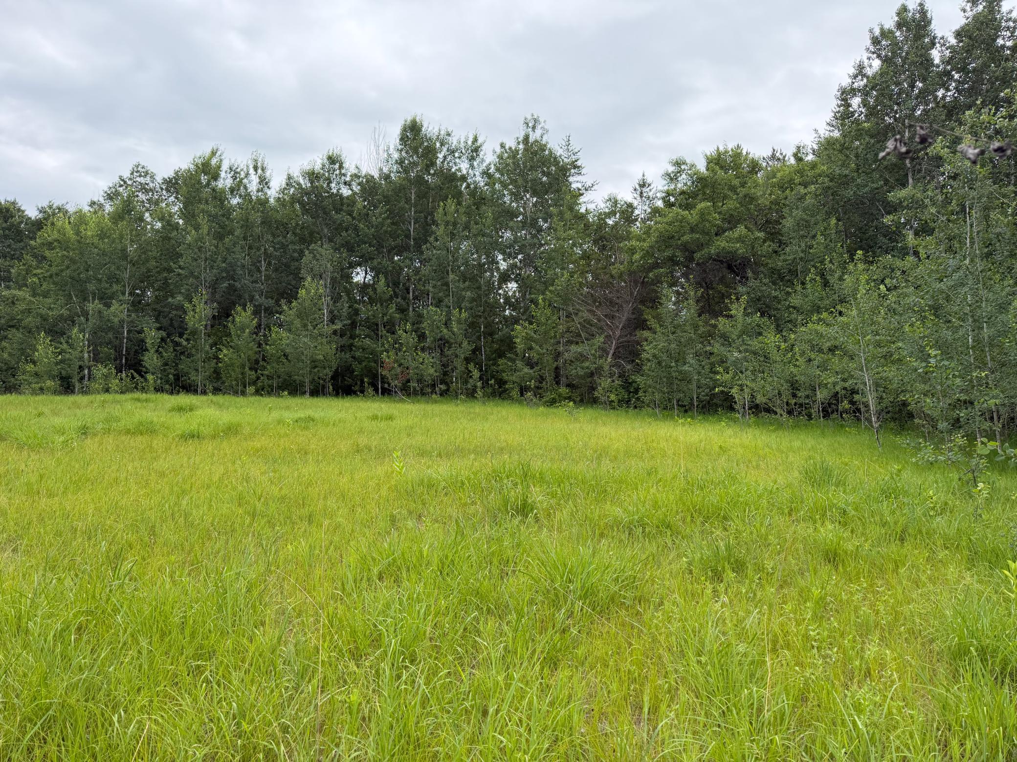 Tbd 350th Street Property Photo 64