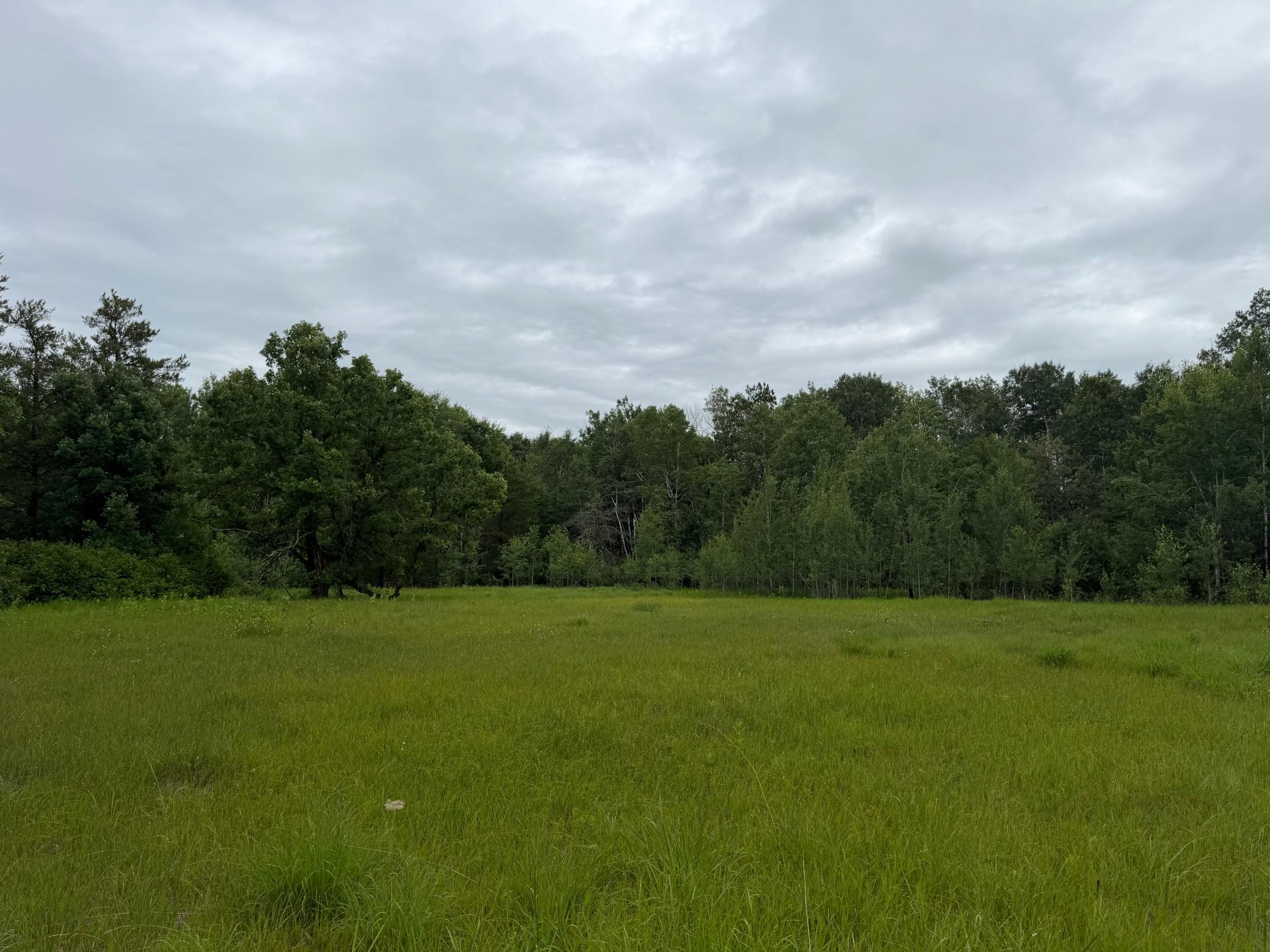 Tbd 350th Street Property Photo 65