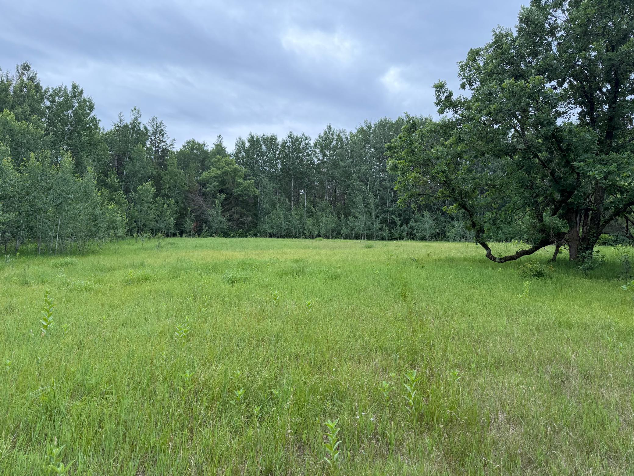 Tbd 350th Street Property Photo 66