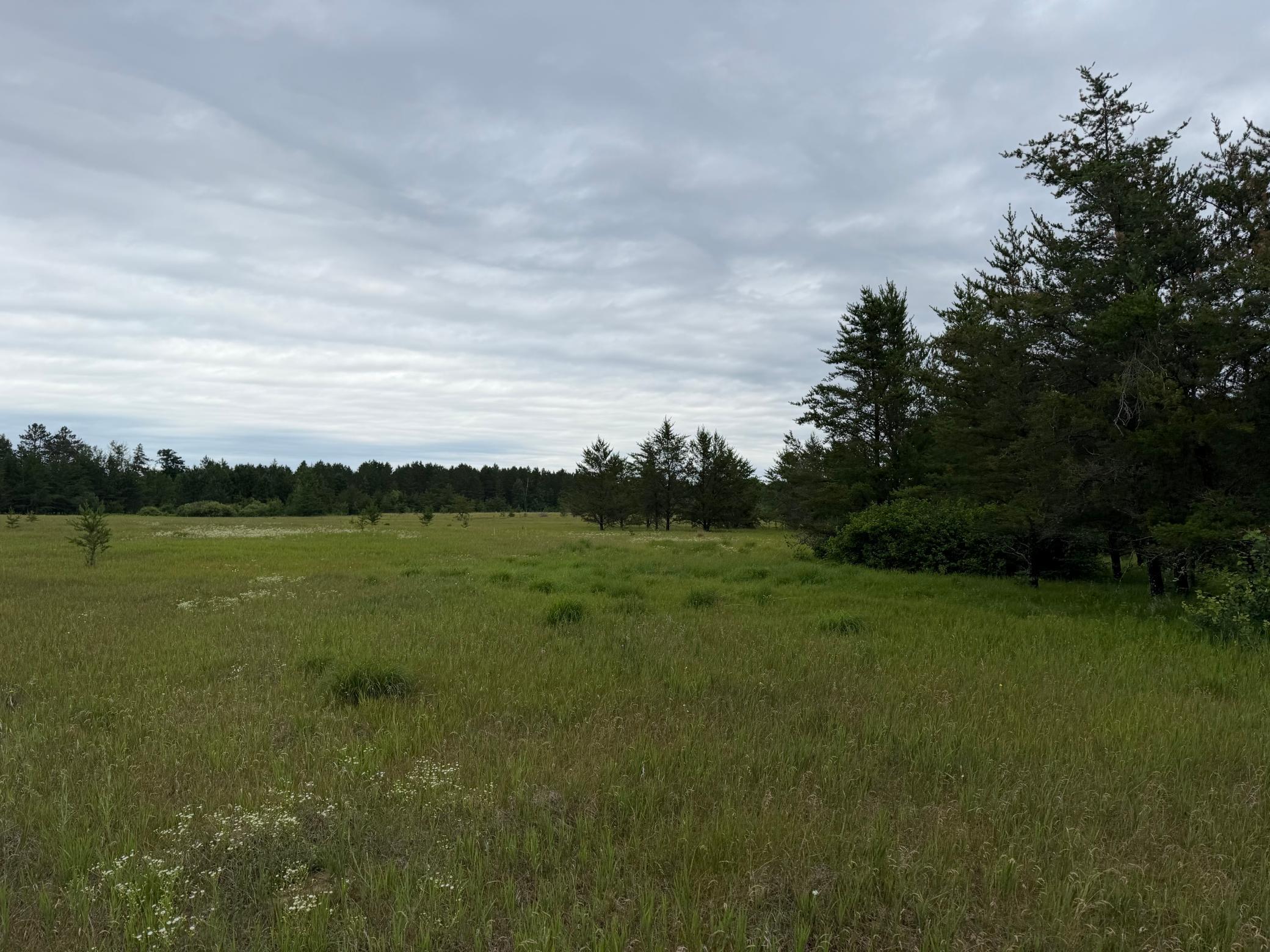 Tbd 350th Street Property Photo 70