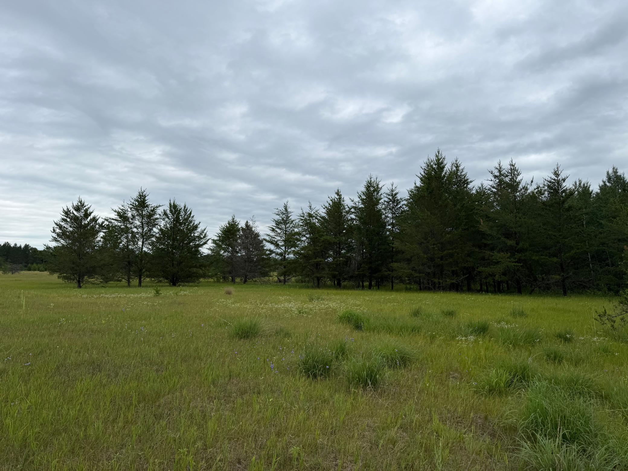 Tbd 350th Street Property Photo 71