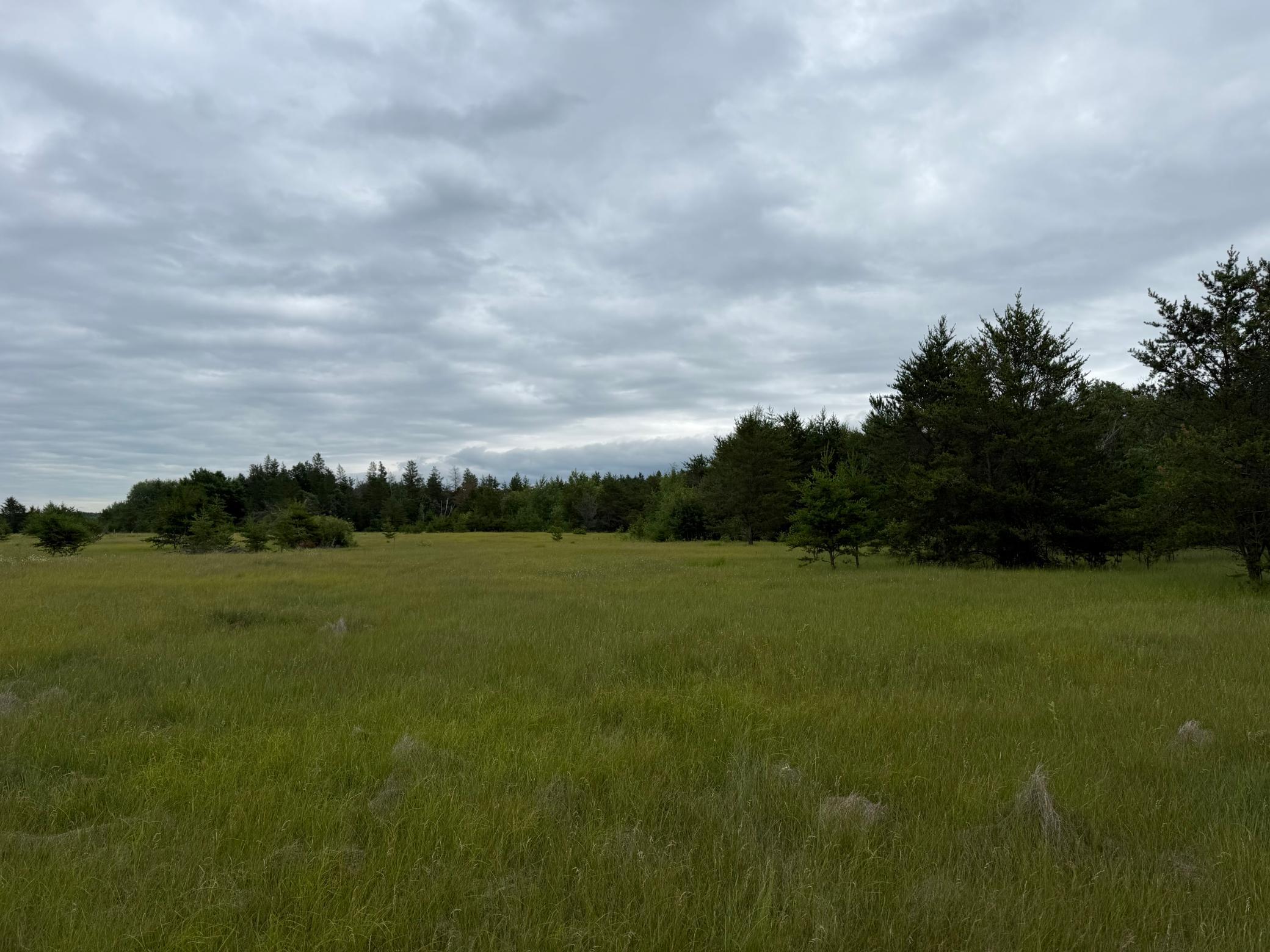 Tbd 350th Street Property Photo 73