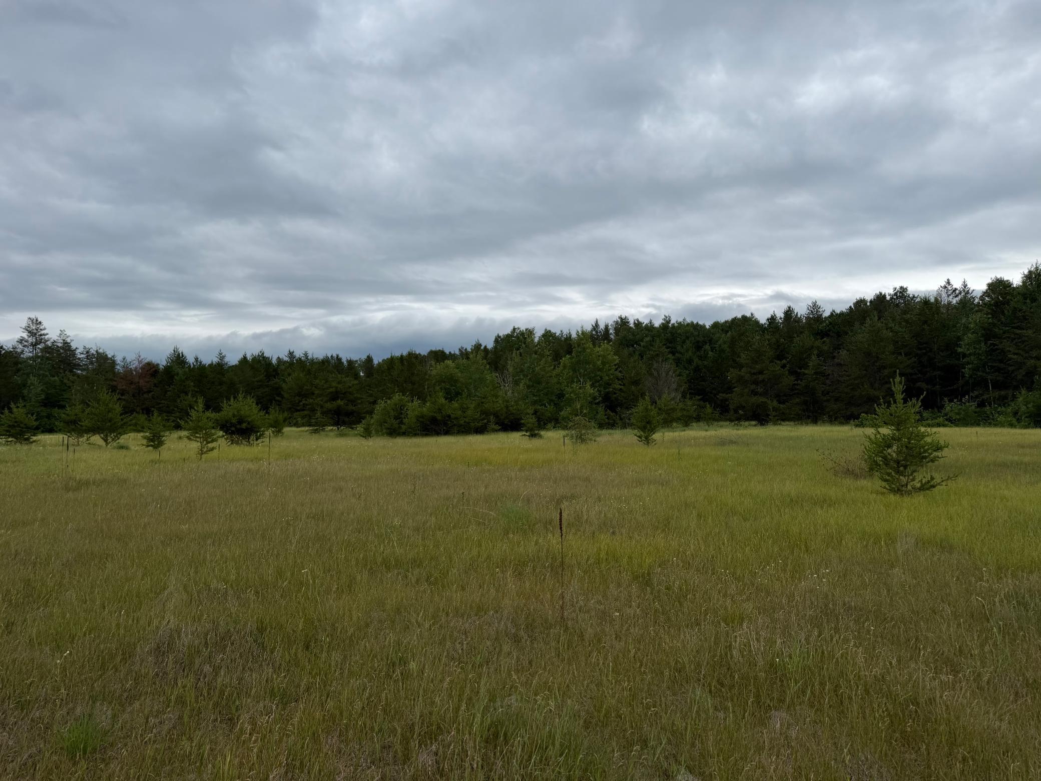 Tbd 350th Street Property Photo 75