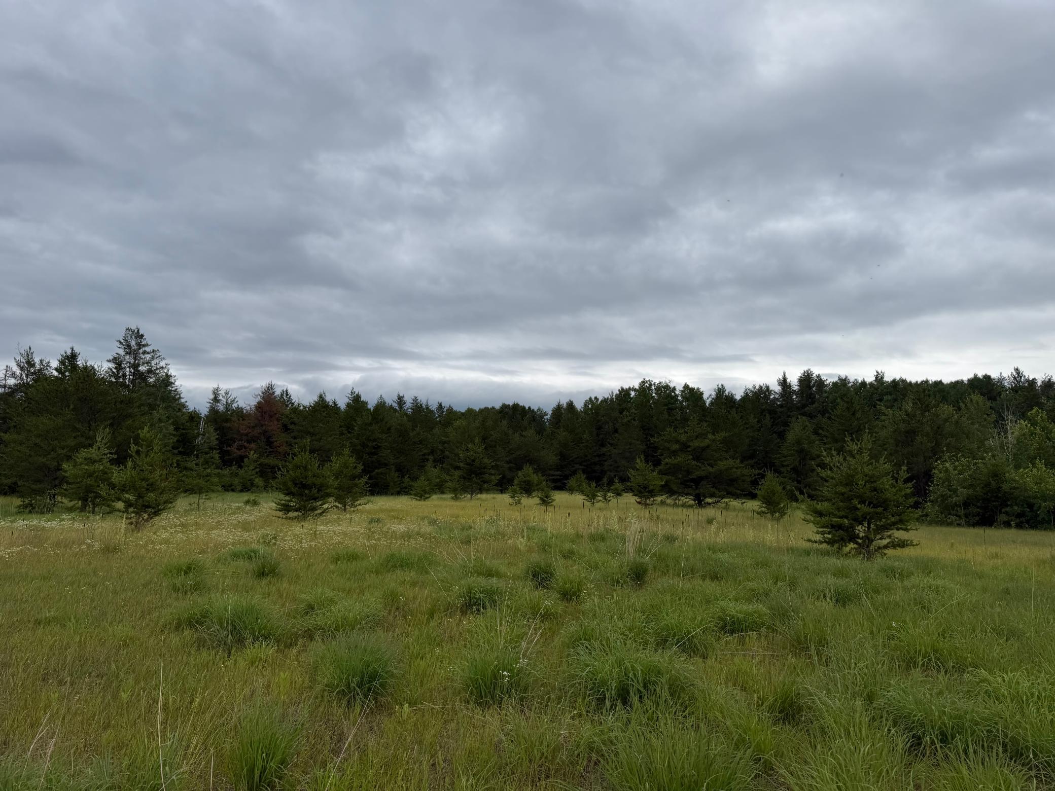 Tbd 350th Street Property Photo 76