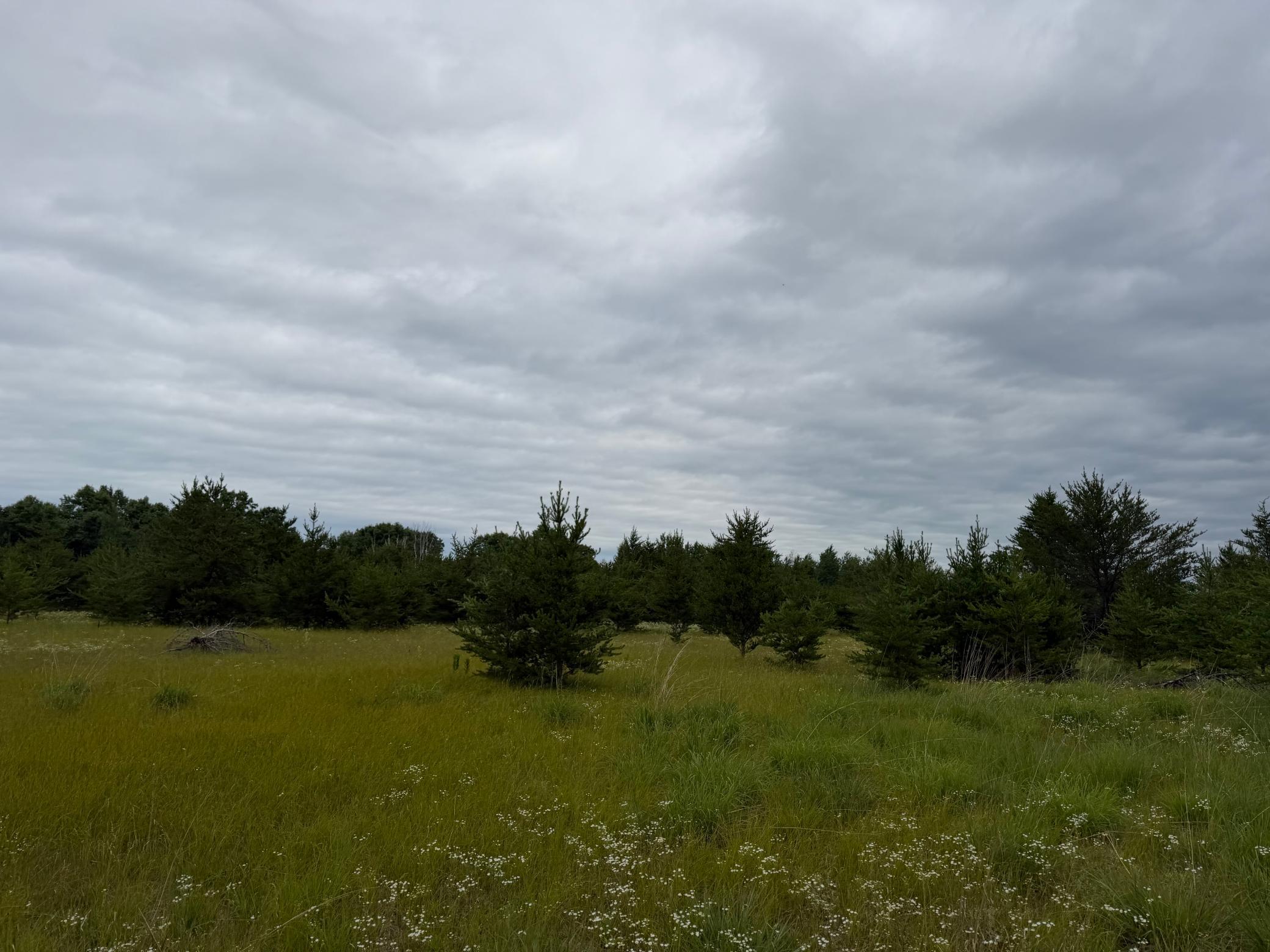 Tbd 350th Street Property Photo 77