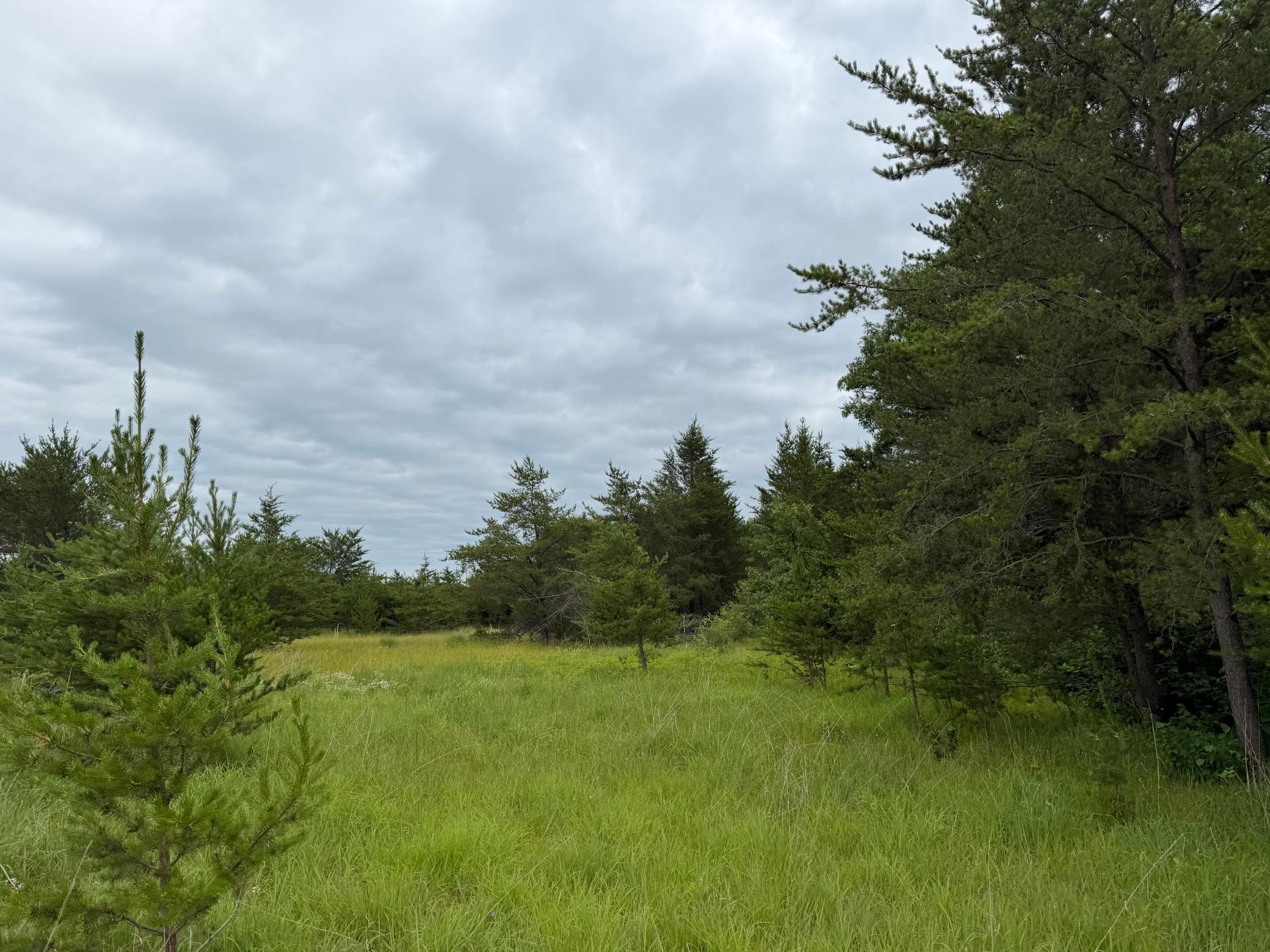 Tbd 350th Street Property Photo 78