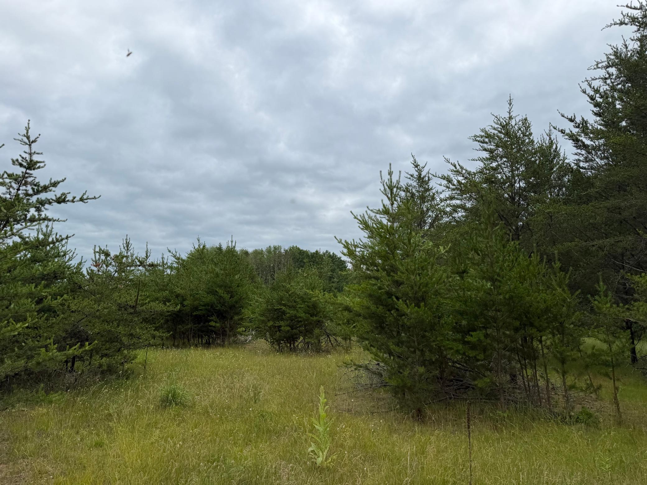Tbd 350th Street Property Photo 79