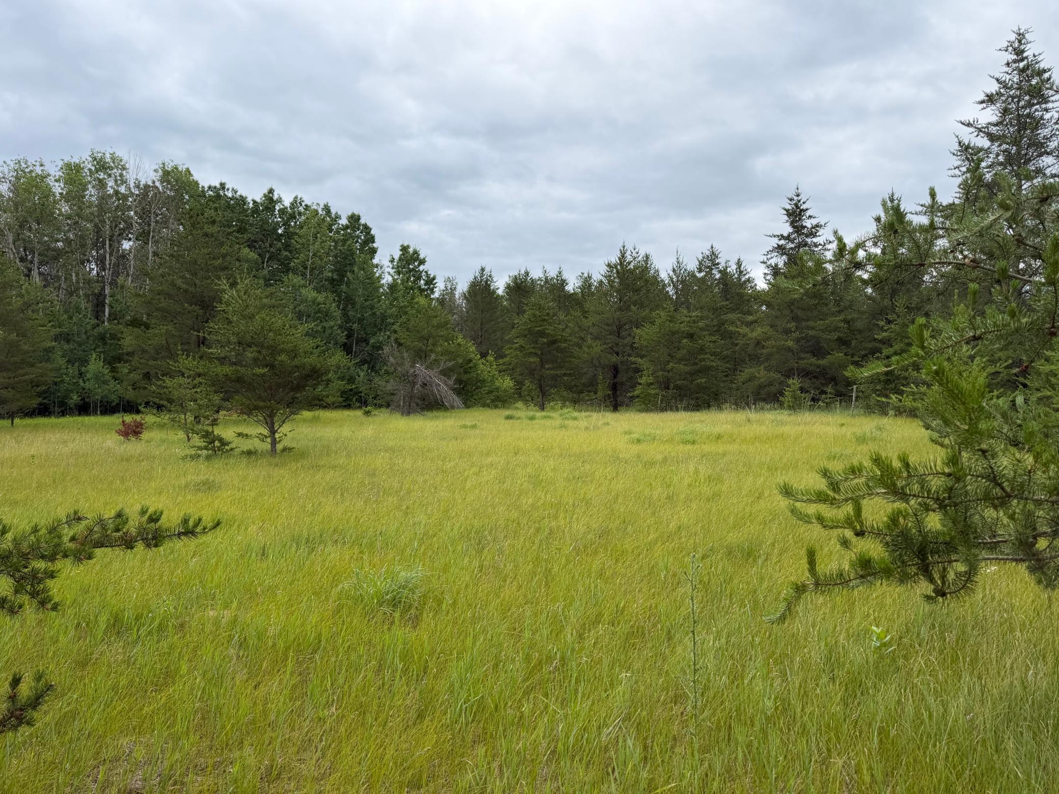 Tbd 350th Street Property Photo 80